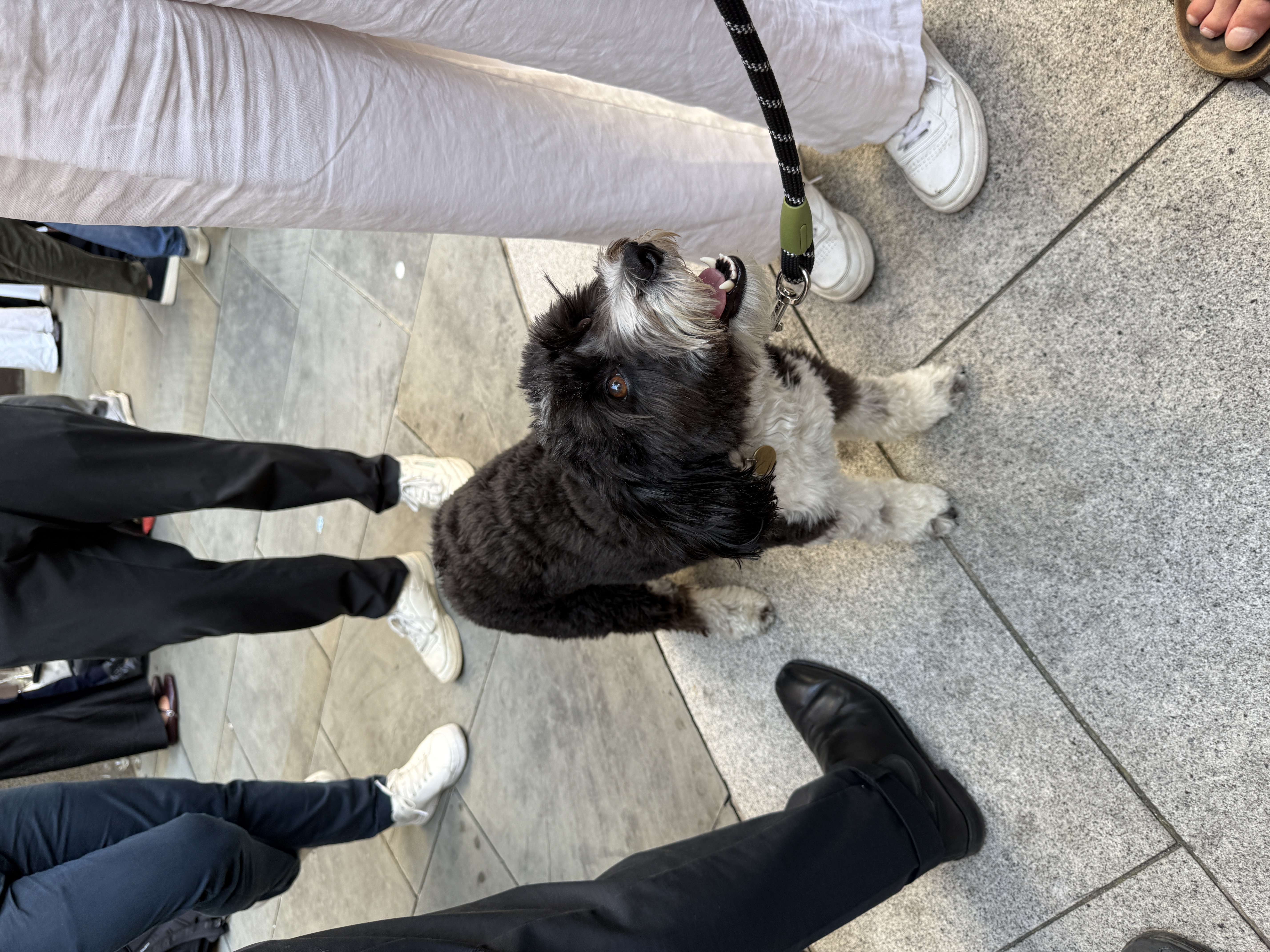 image-15