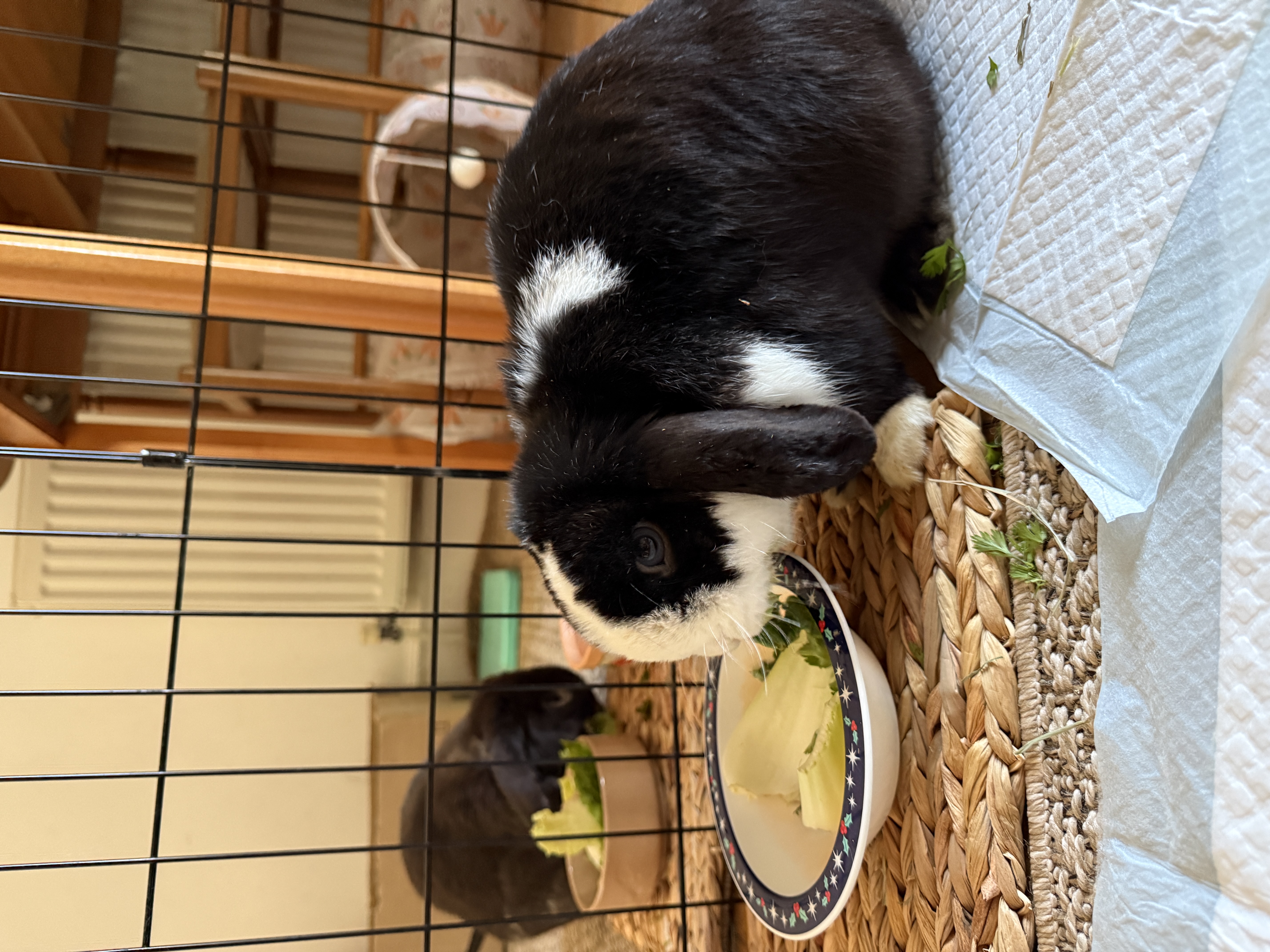 image-14