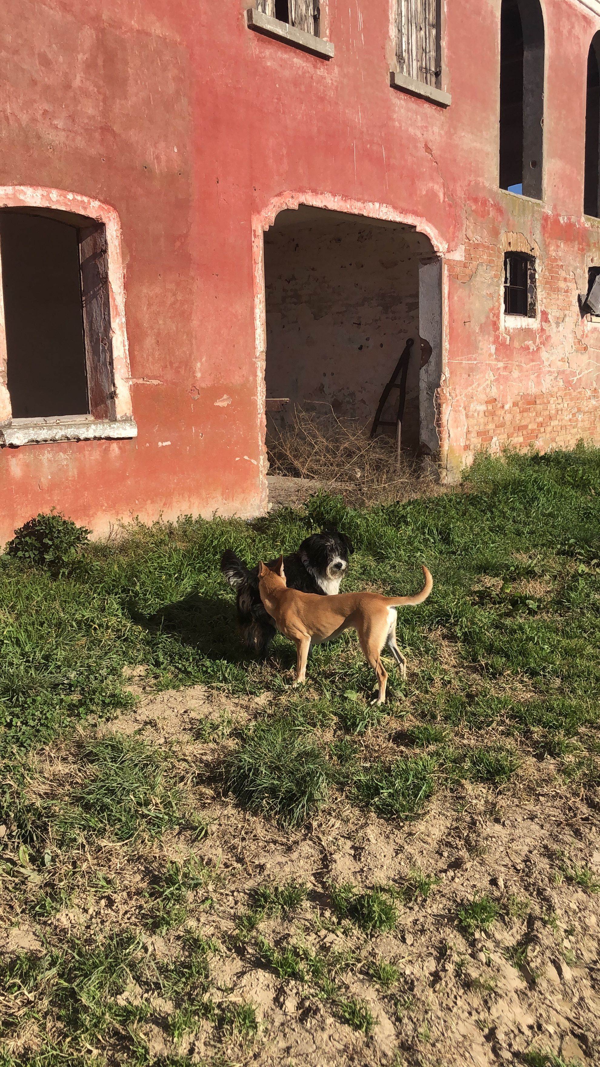 image-7