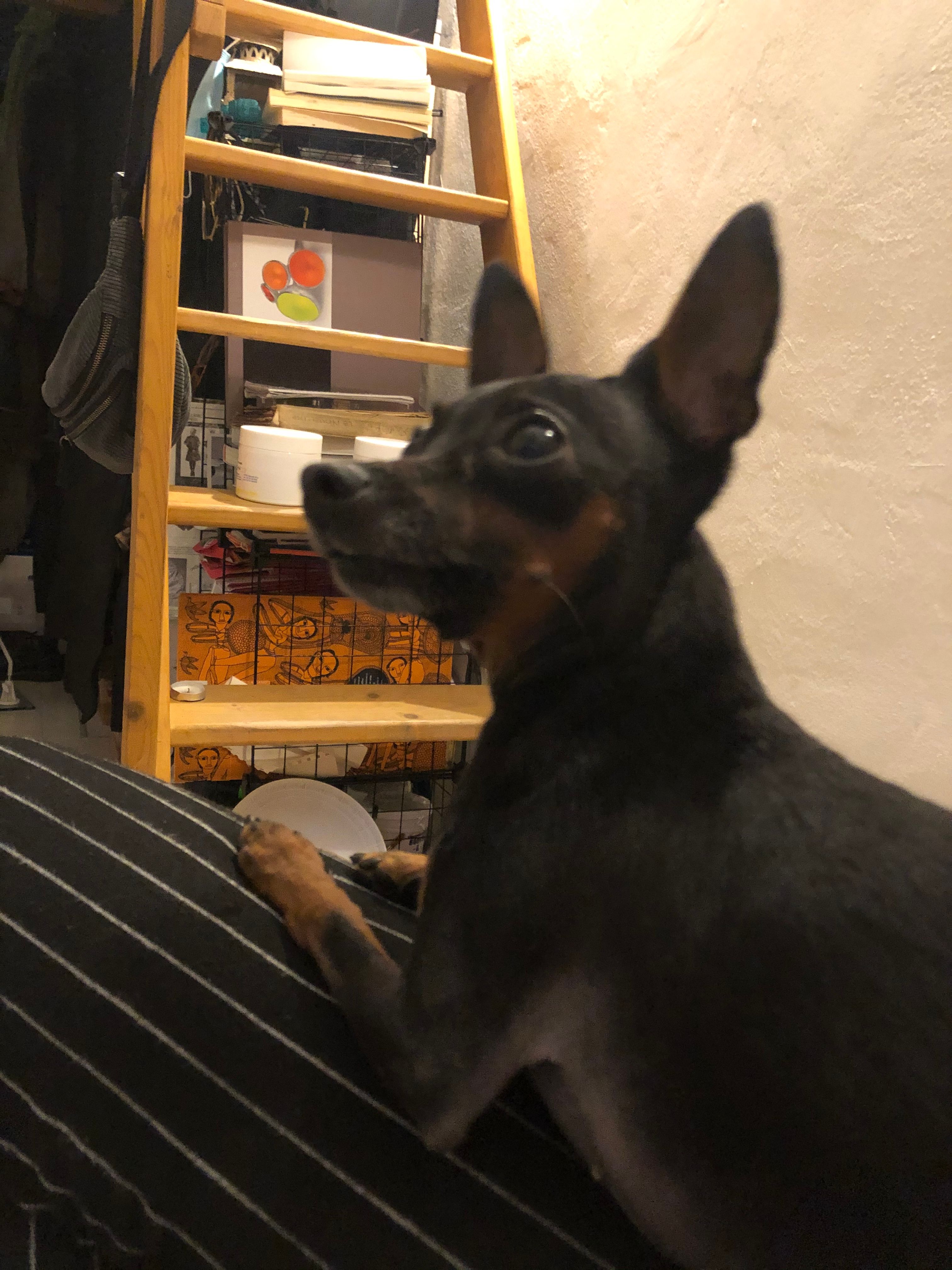 image-6