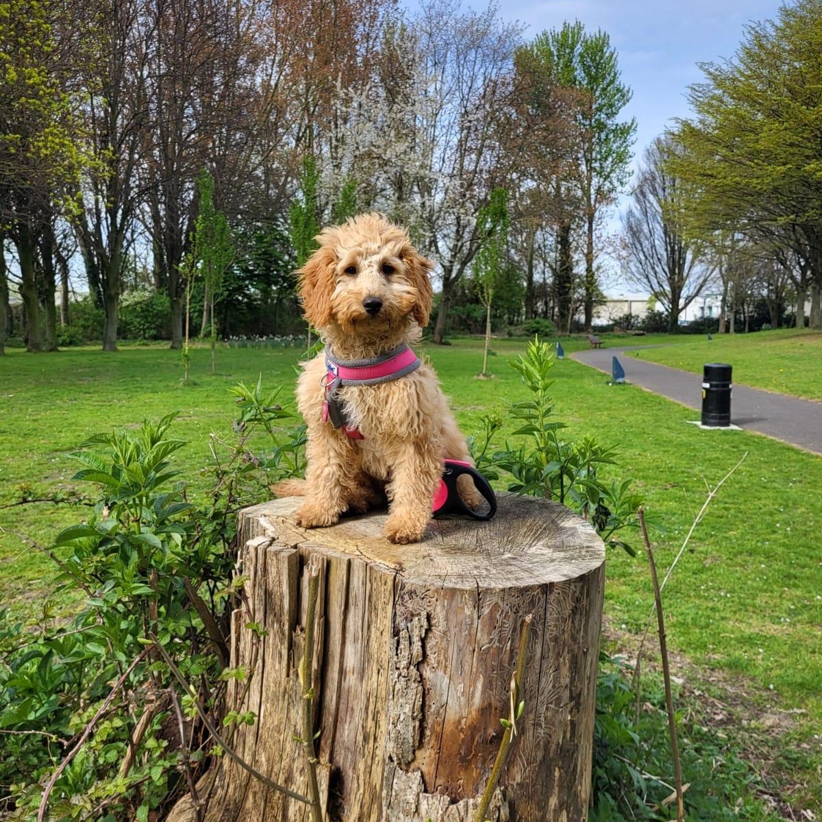 Winnie 