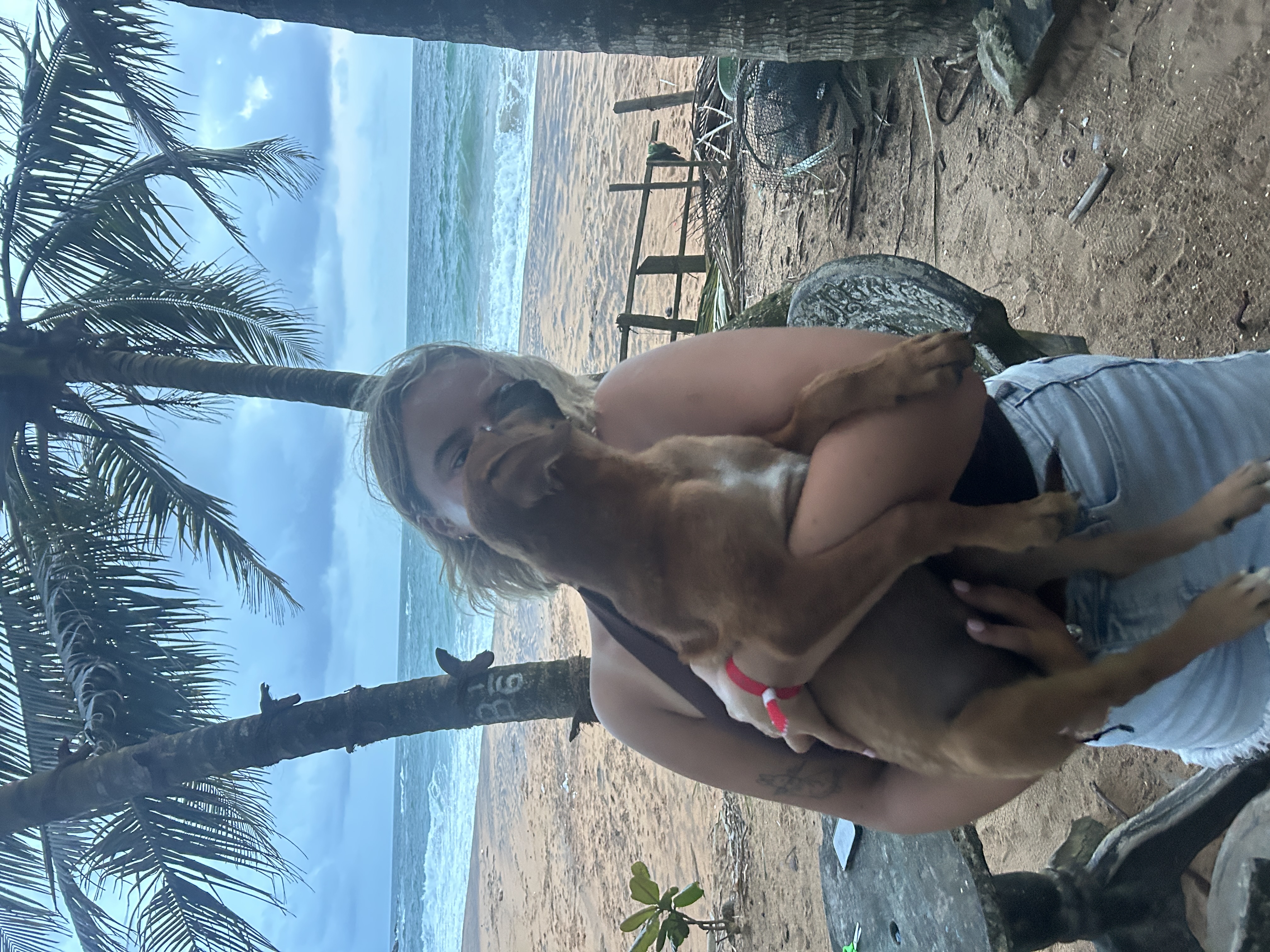 image-3