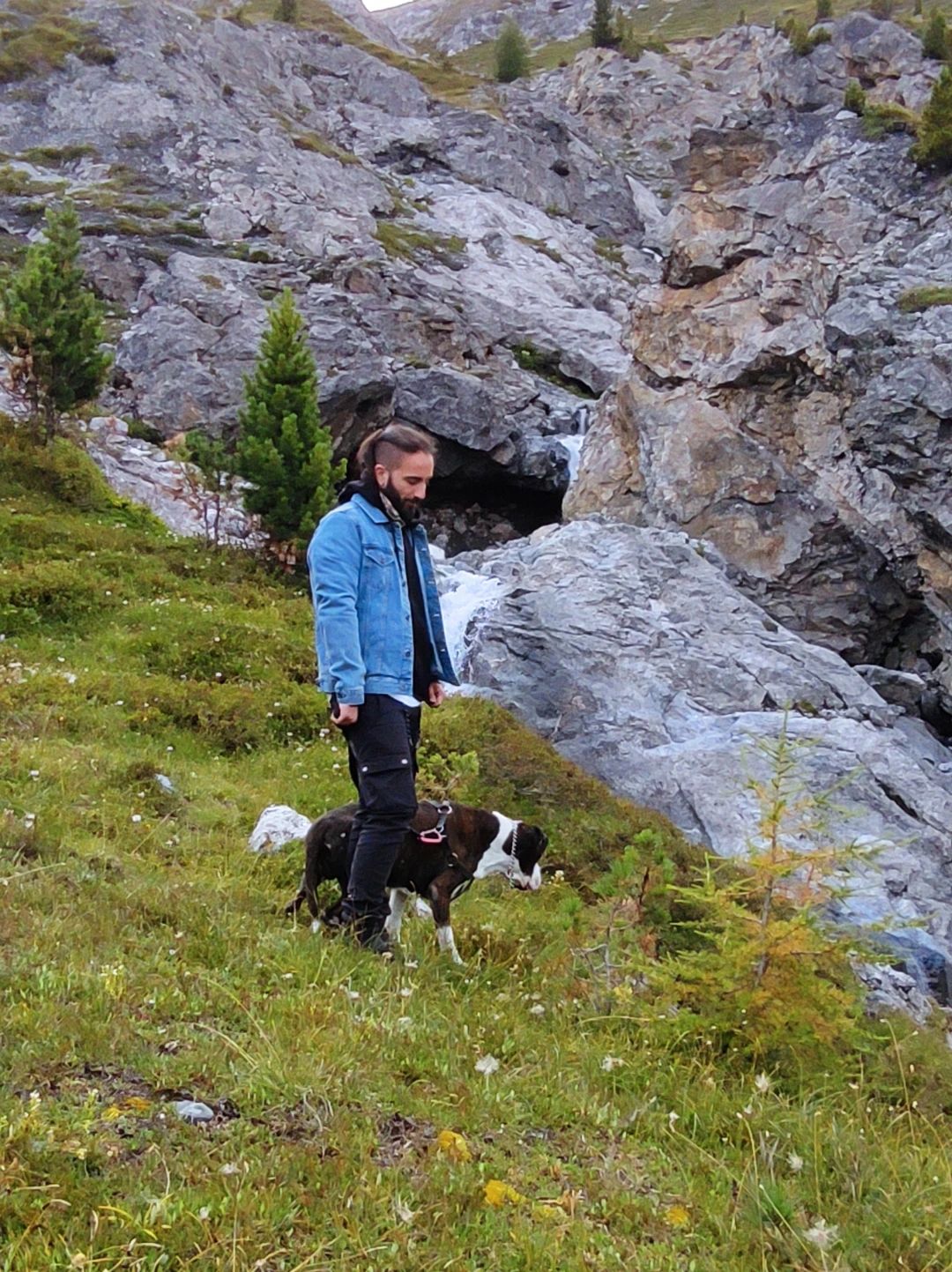image-10