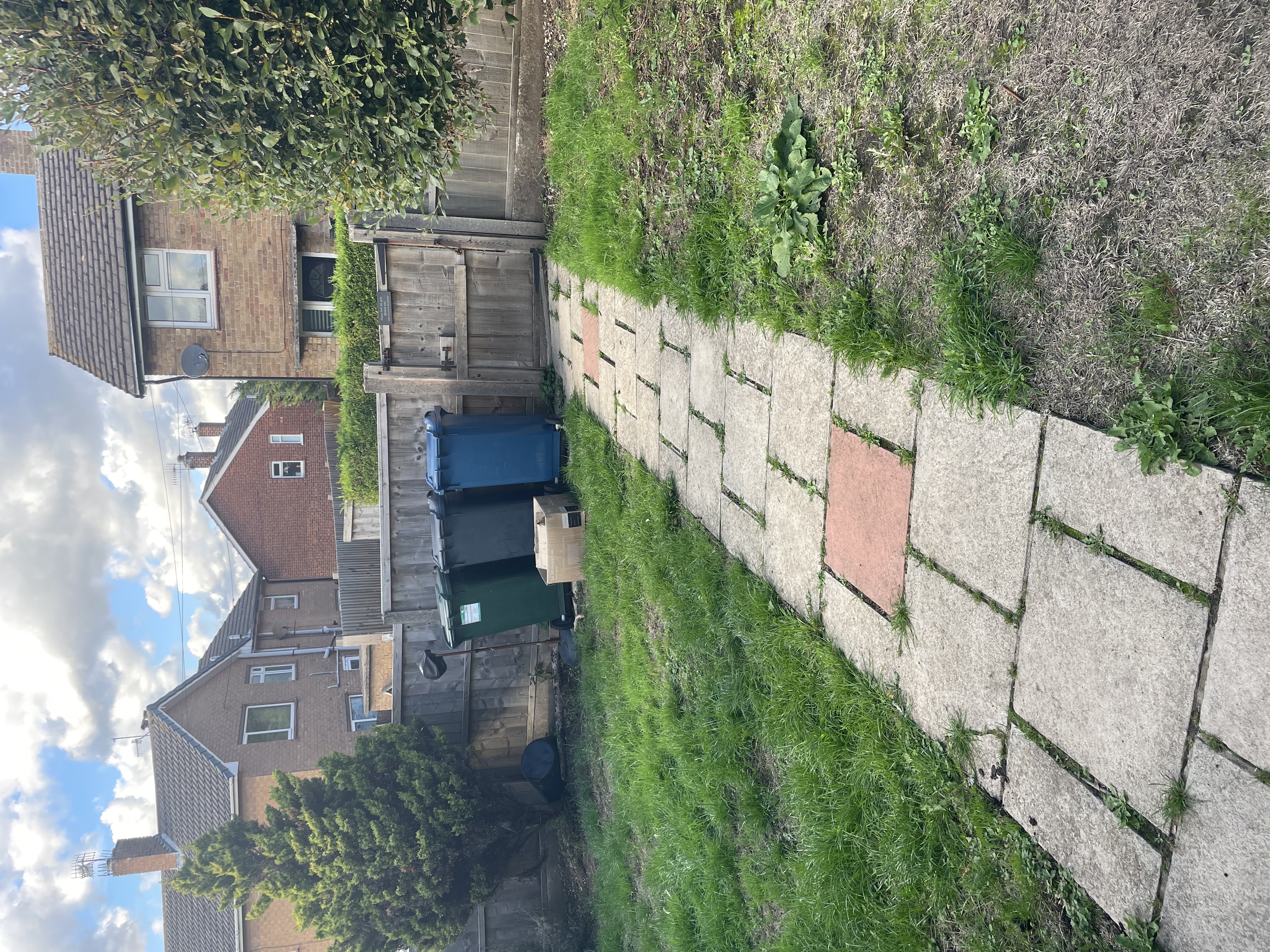 image-25