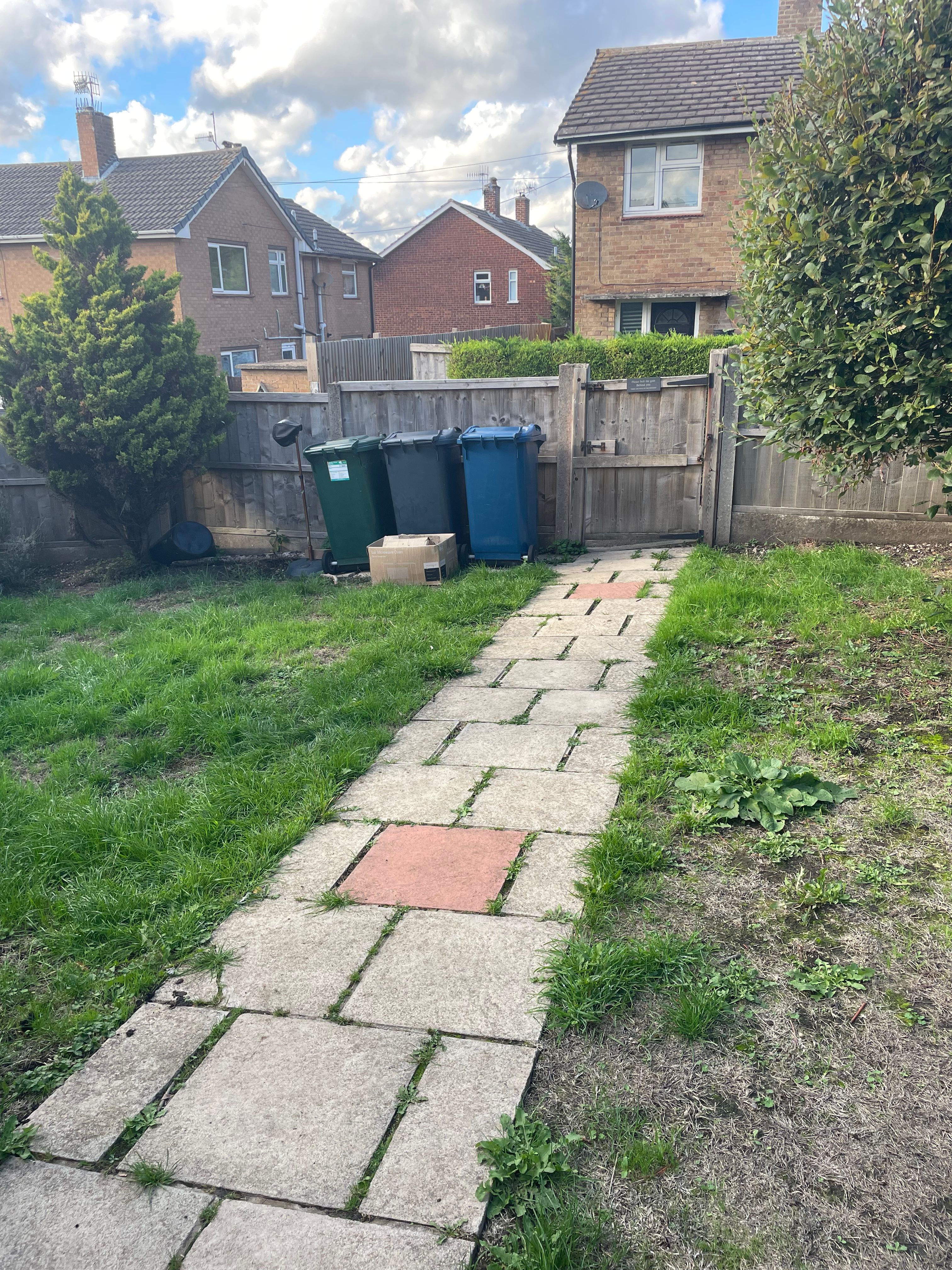 image-25