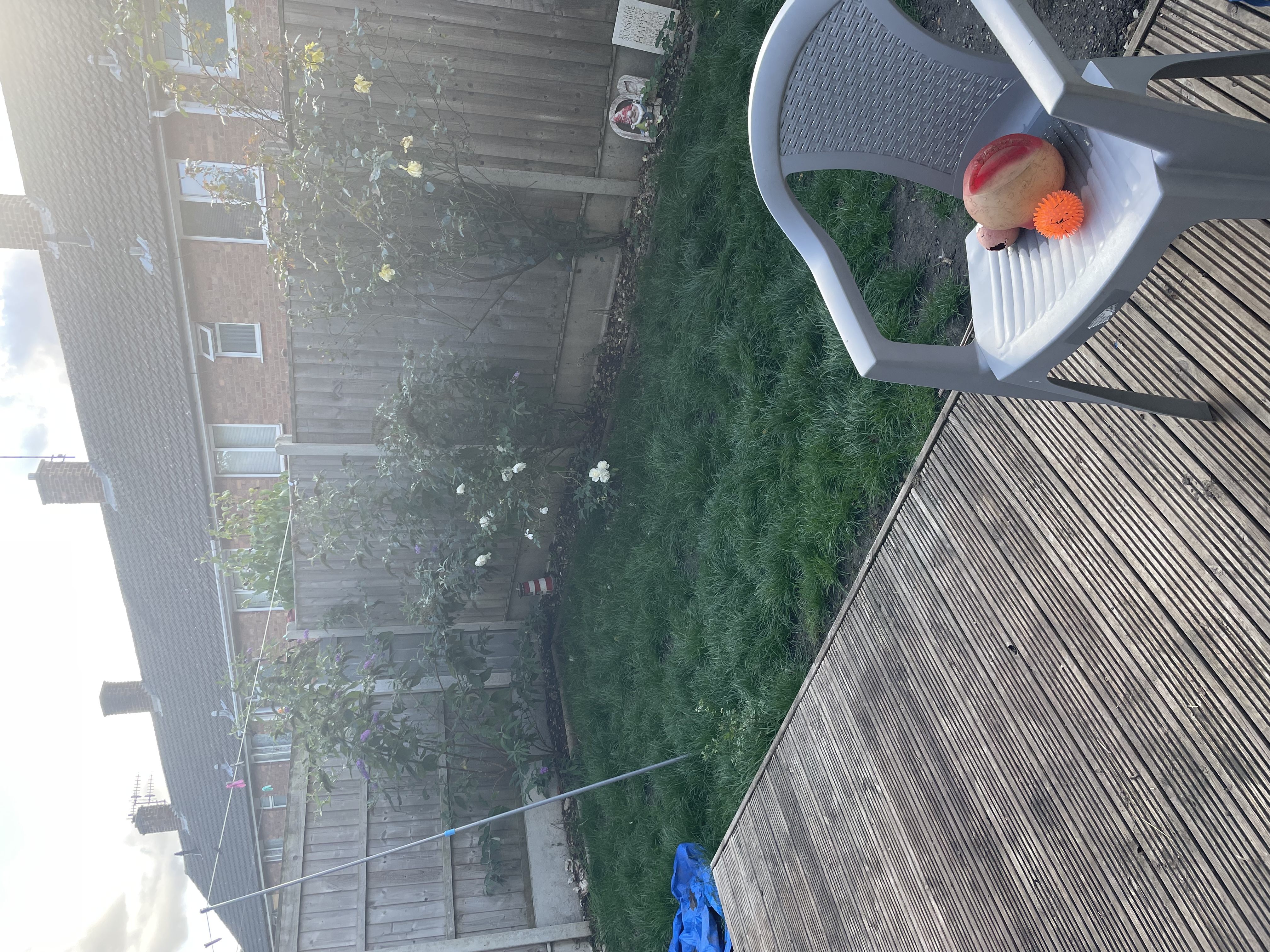 image-28