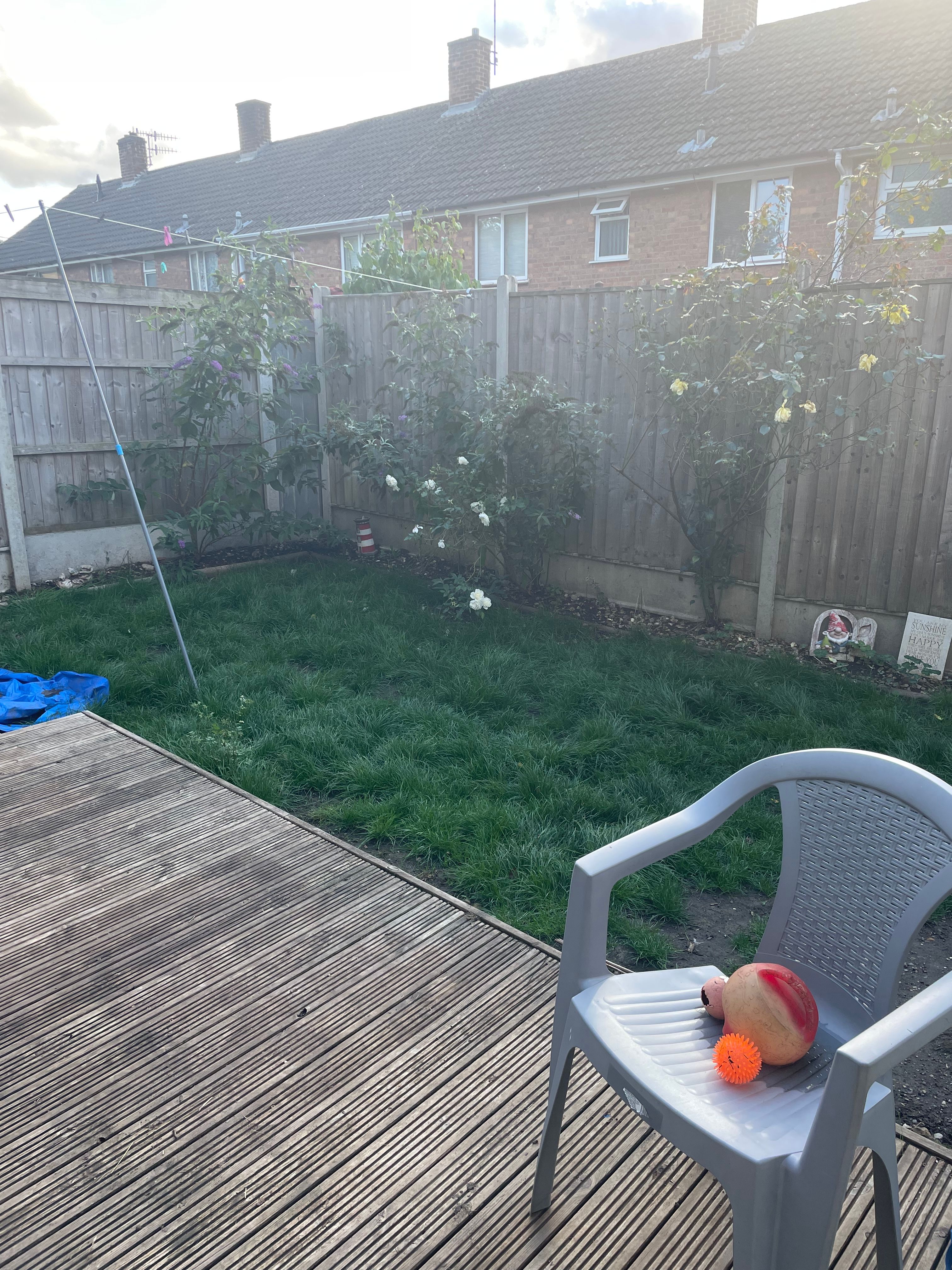 image-28