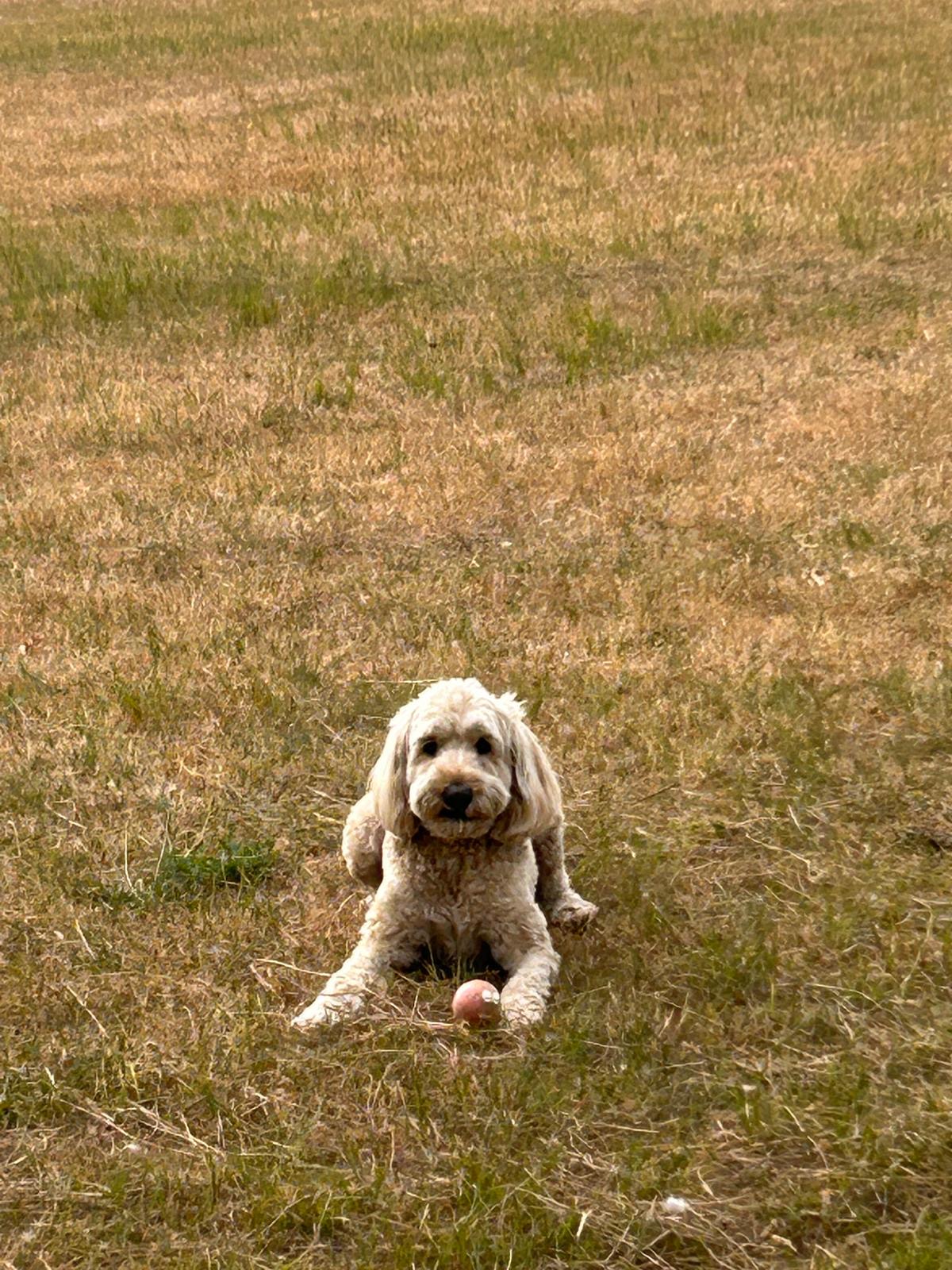 image-5