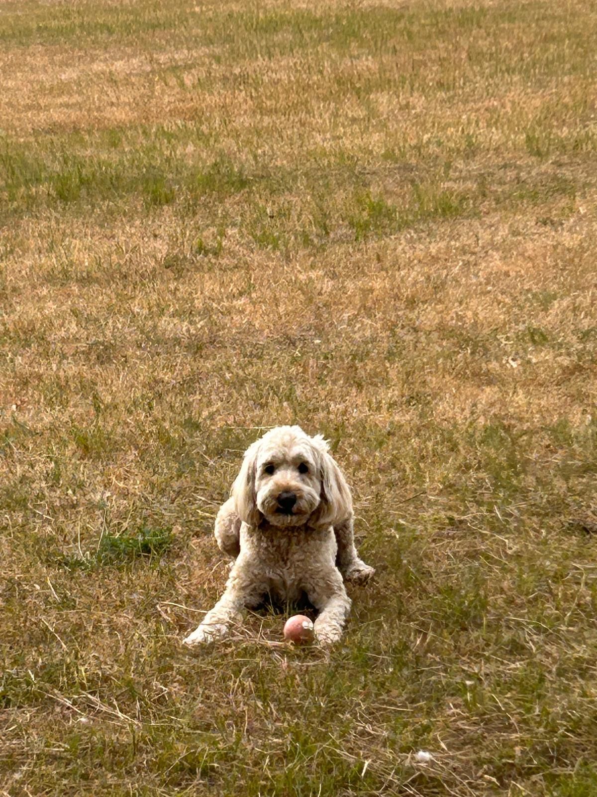 image-5