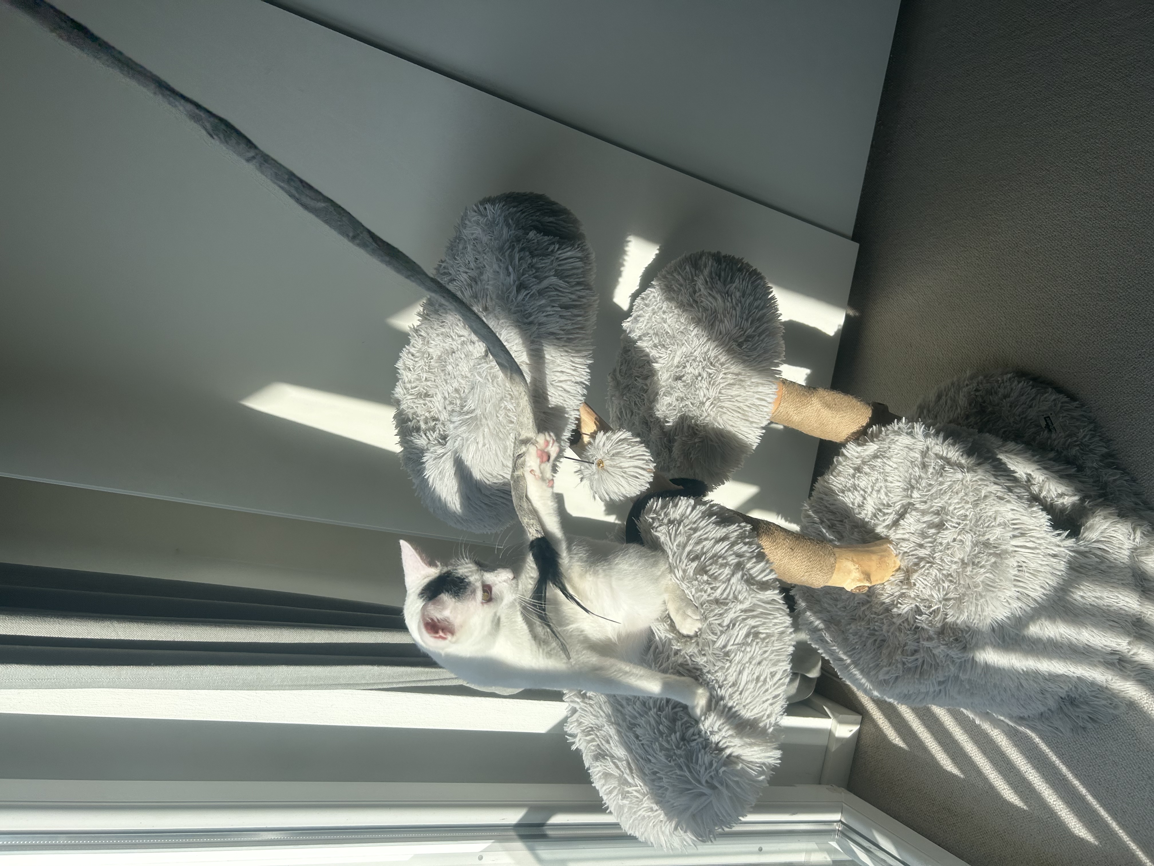 image-11
