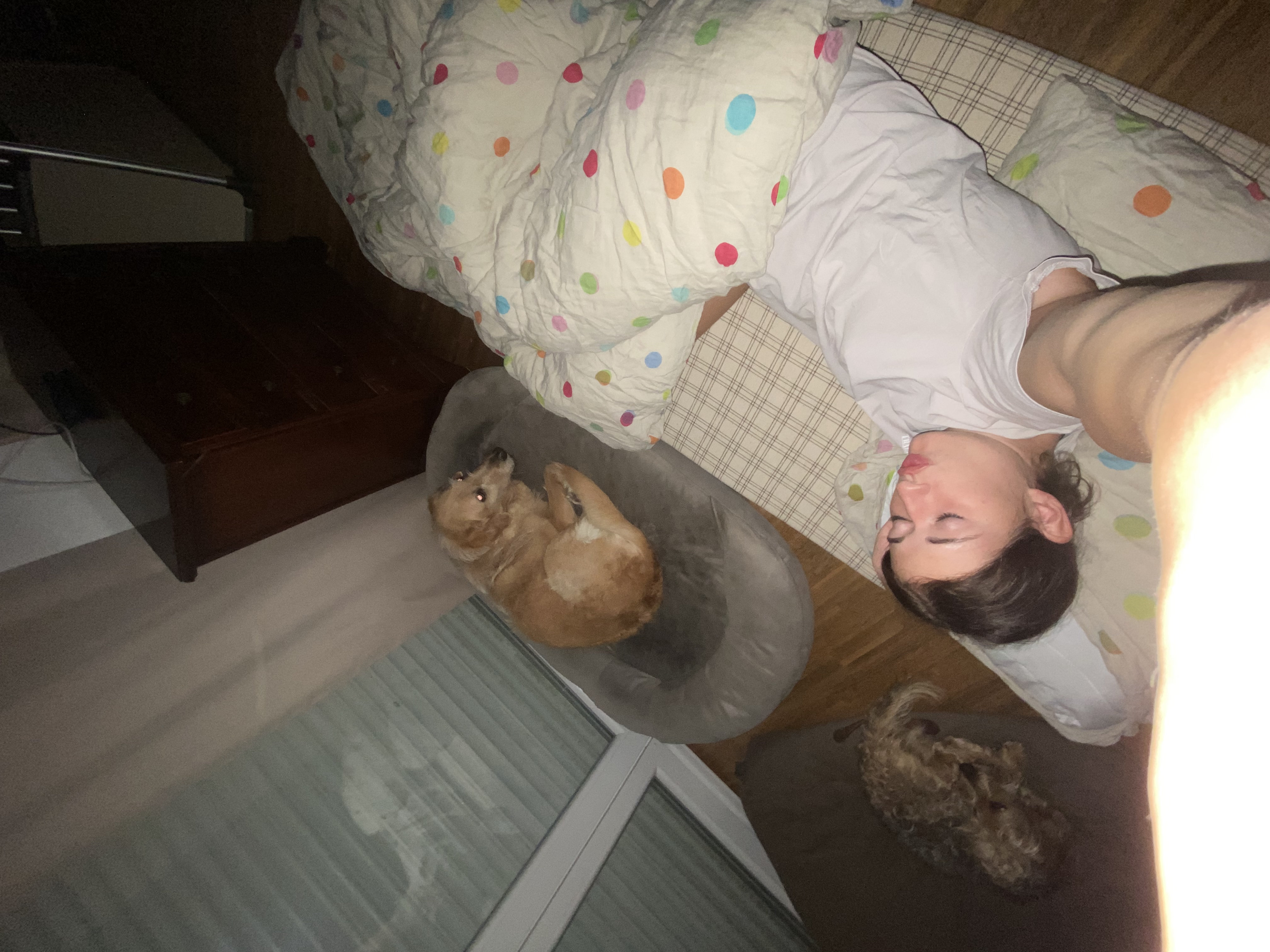 image-4