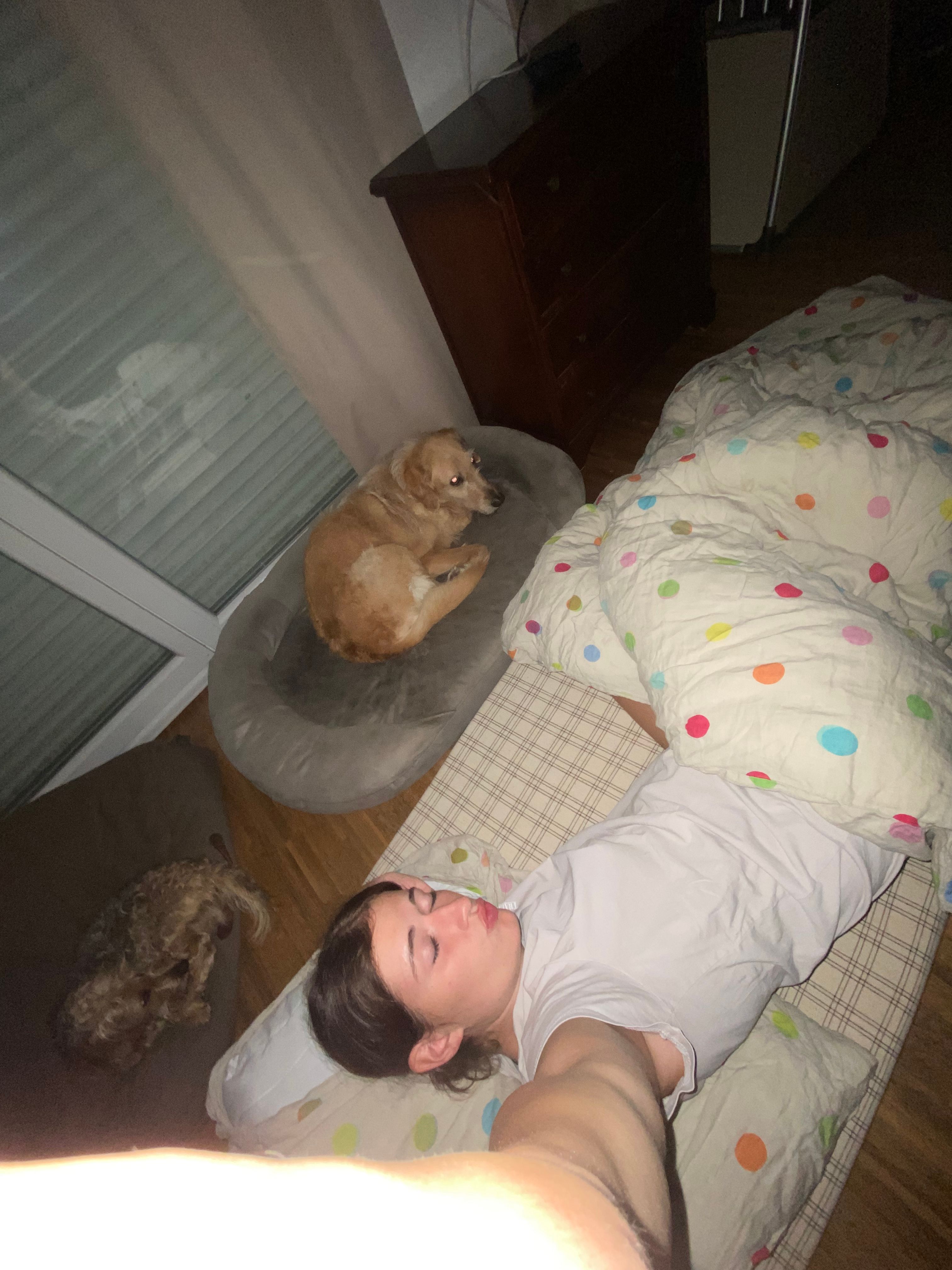 image-4
