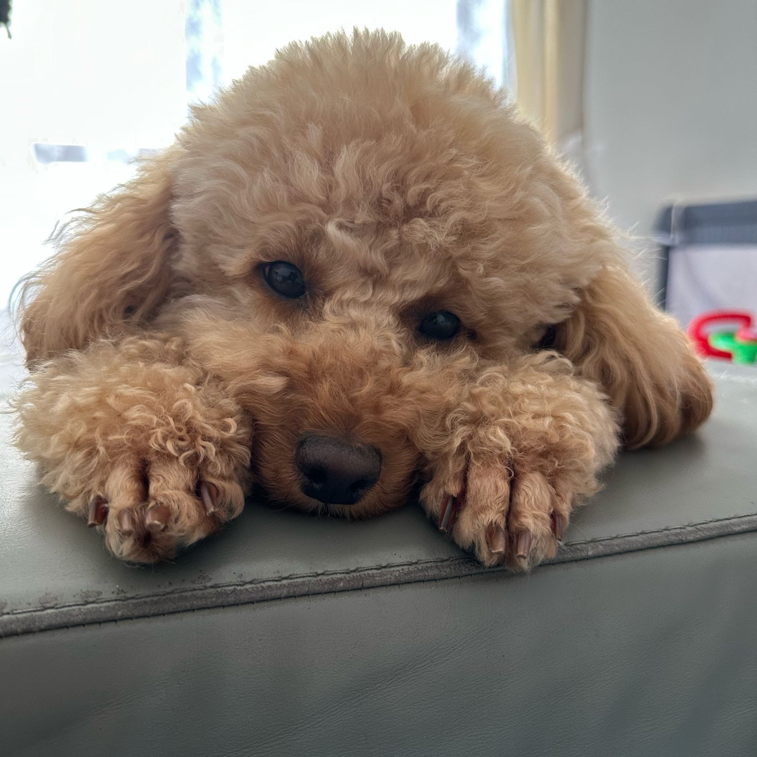 Milly