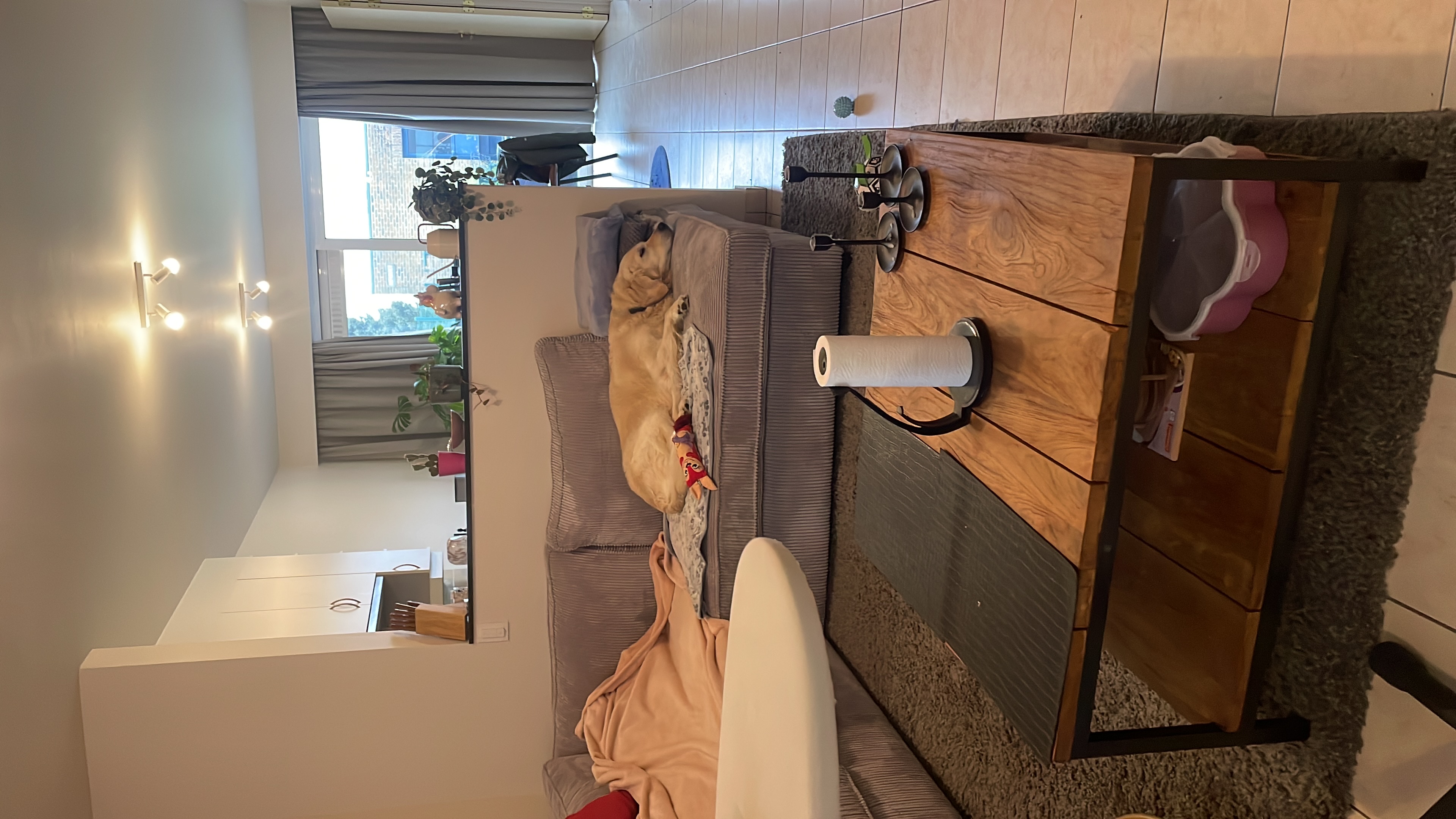 image-14
