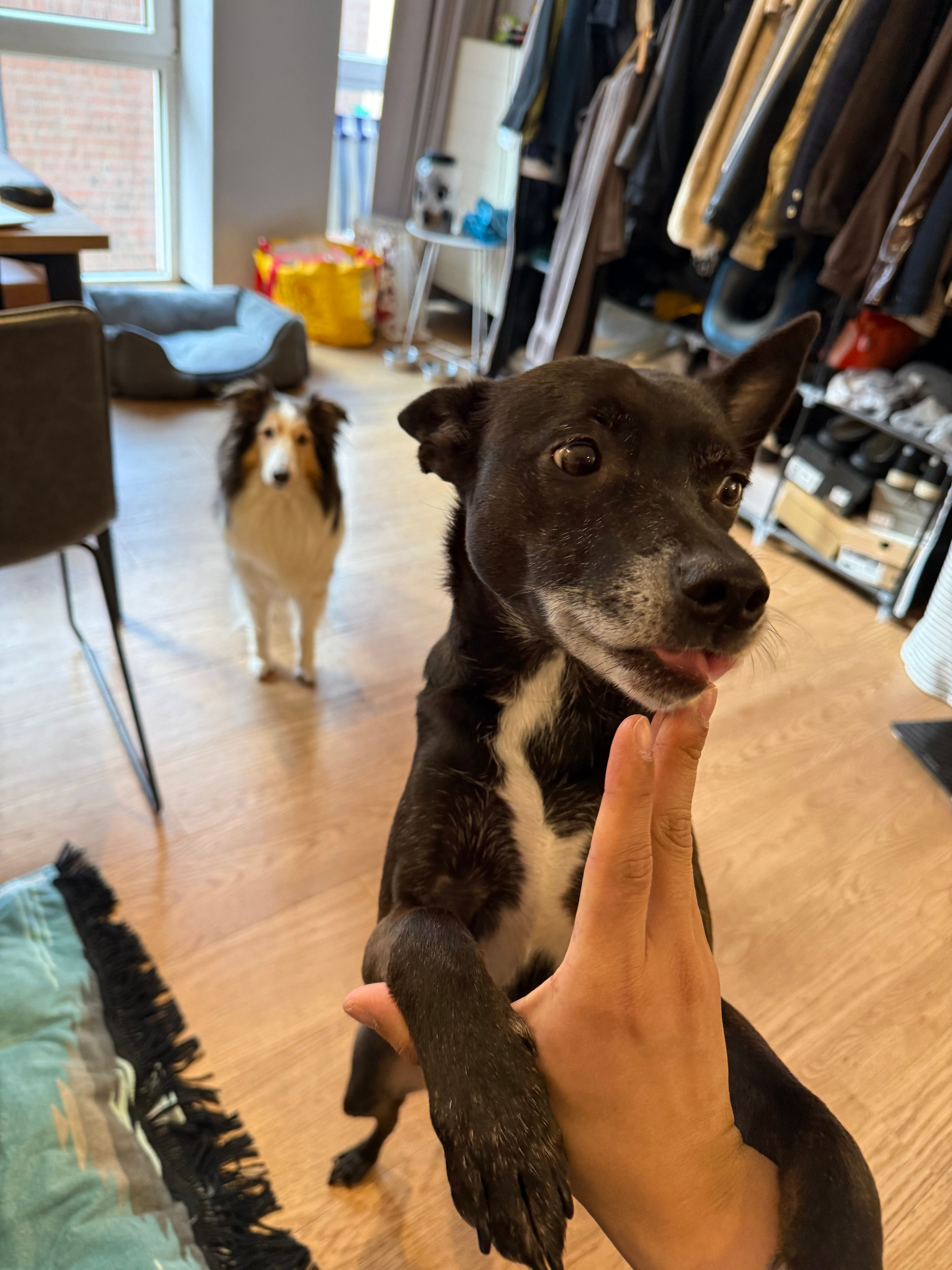 image-10