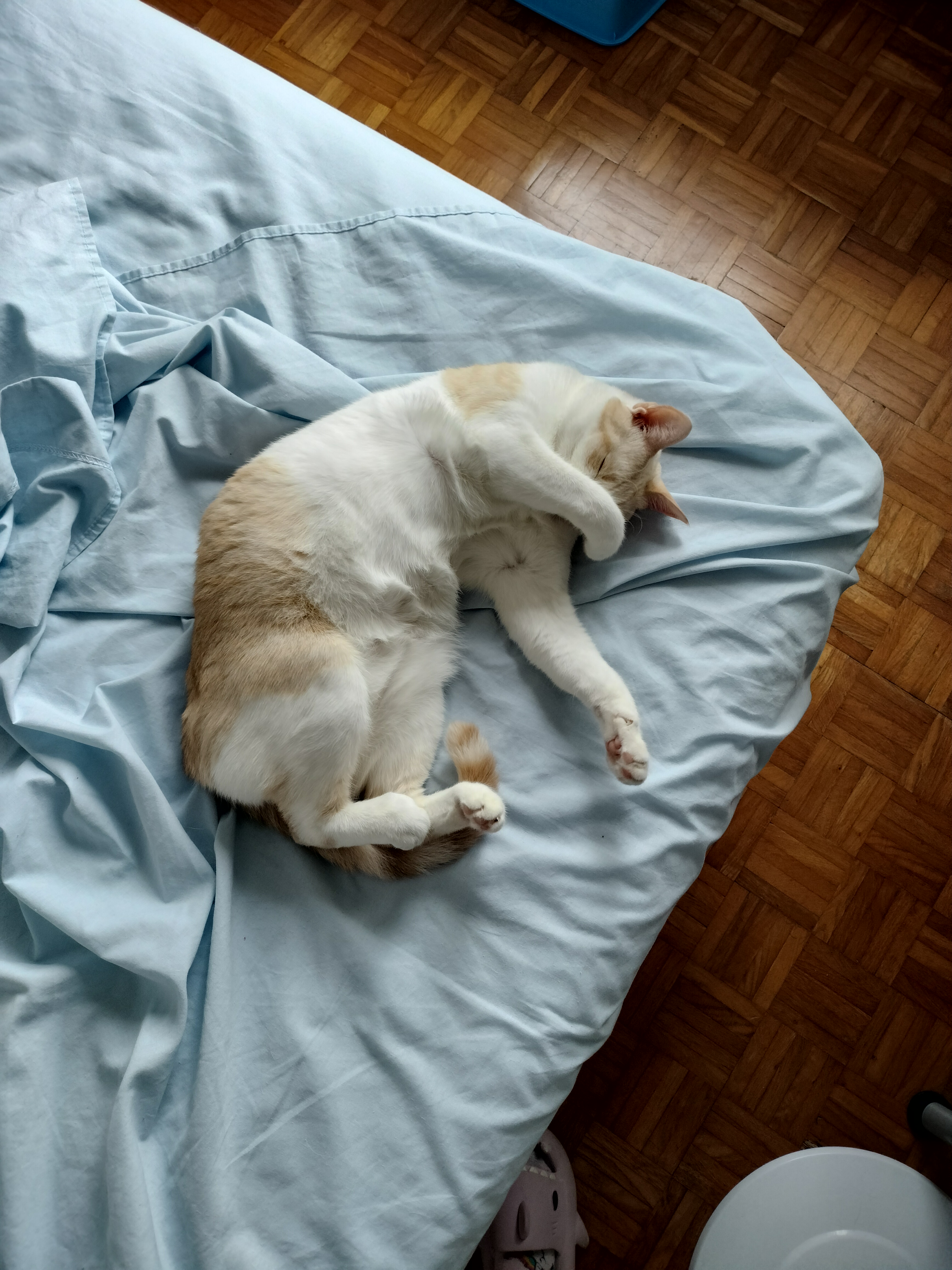 image-6