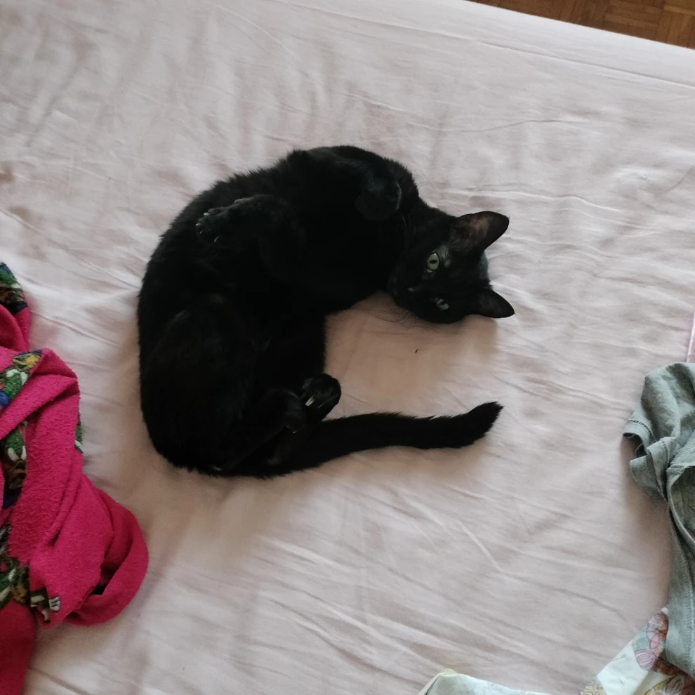 Salem