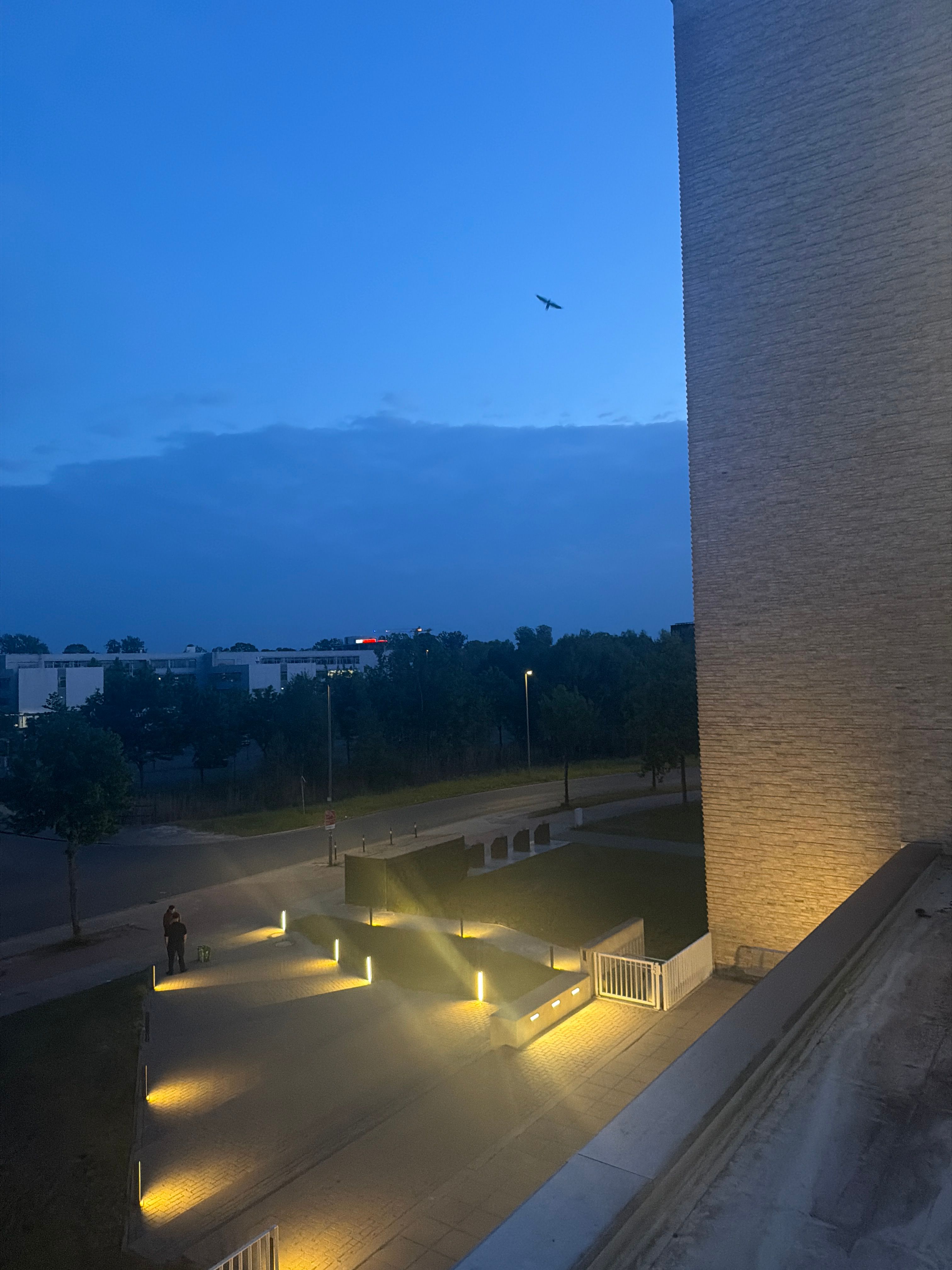 image-13