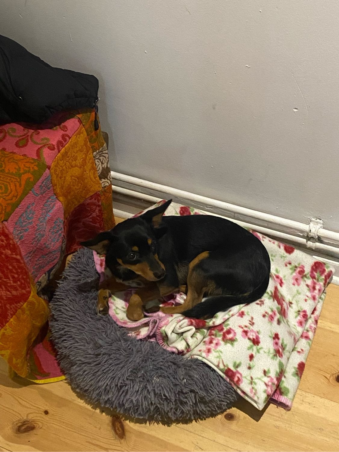 image-7