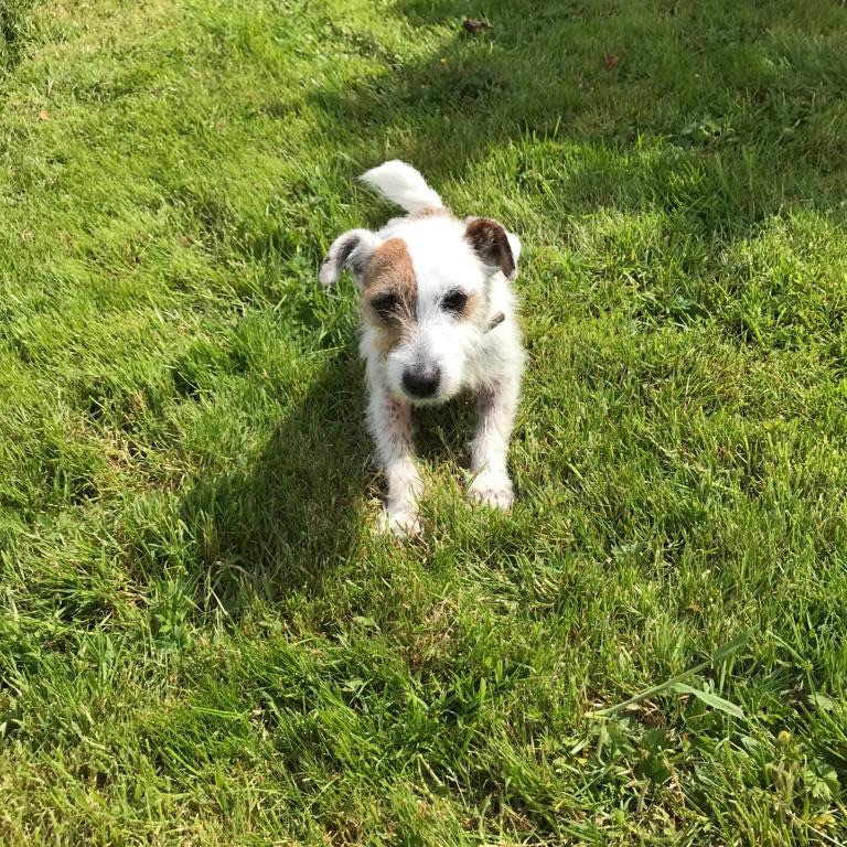 Milly