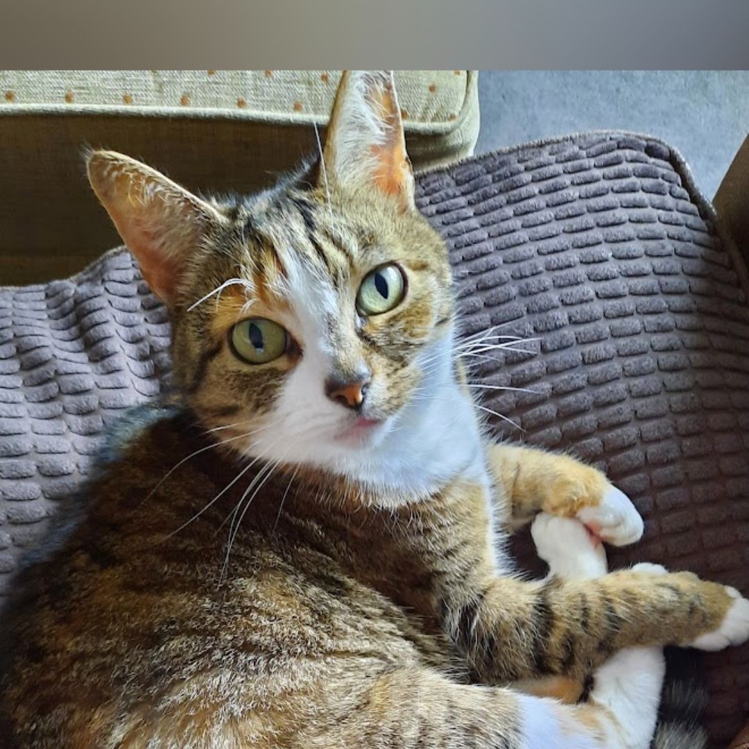 Millie