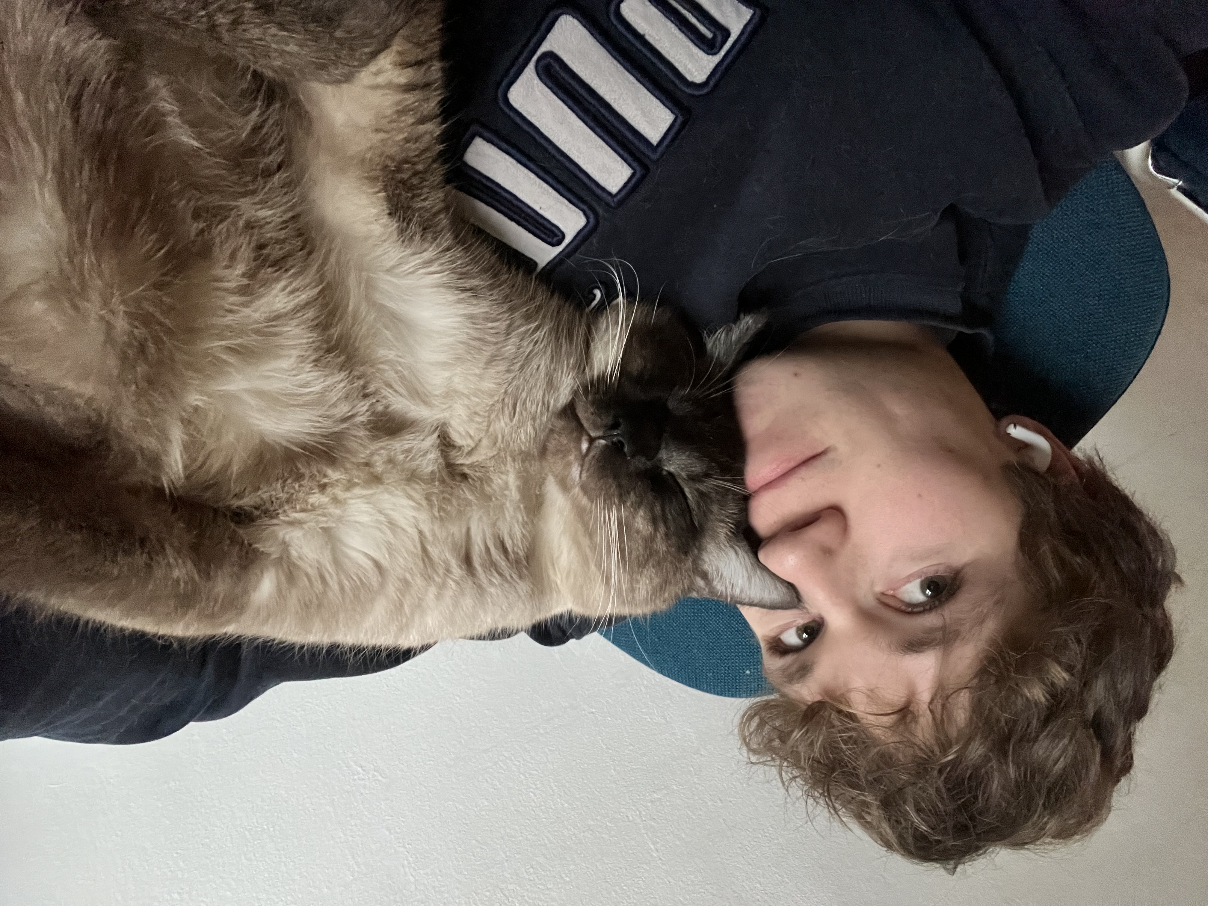 image-2