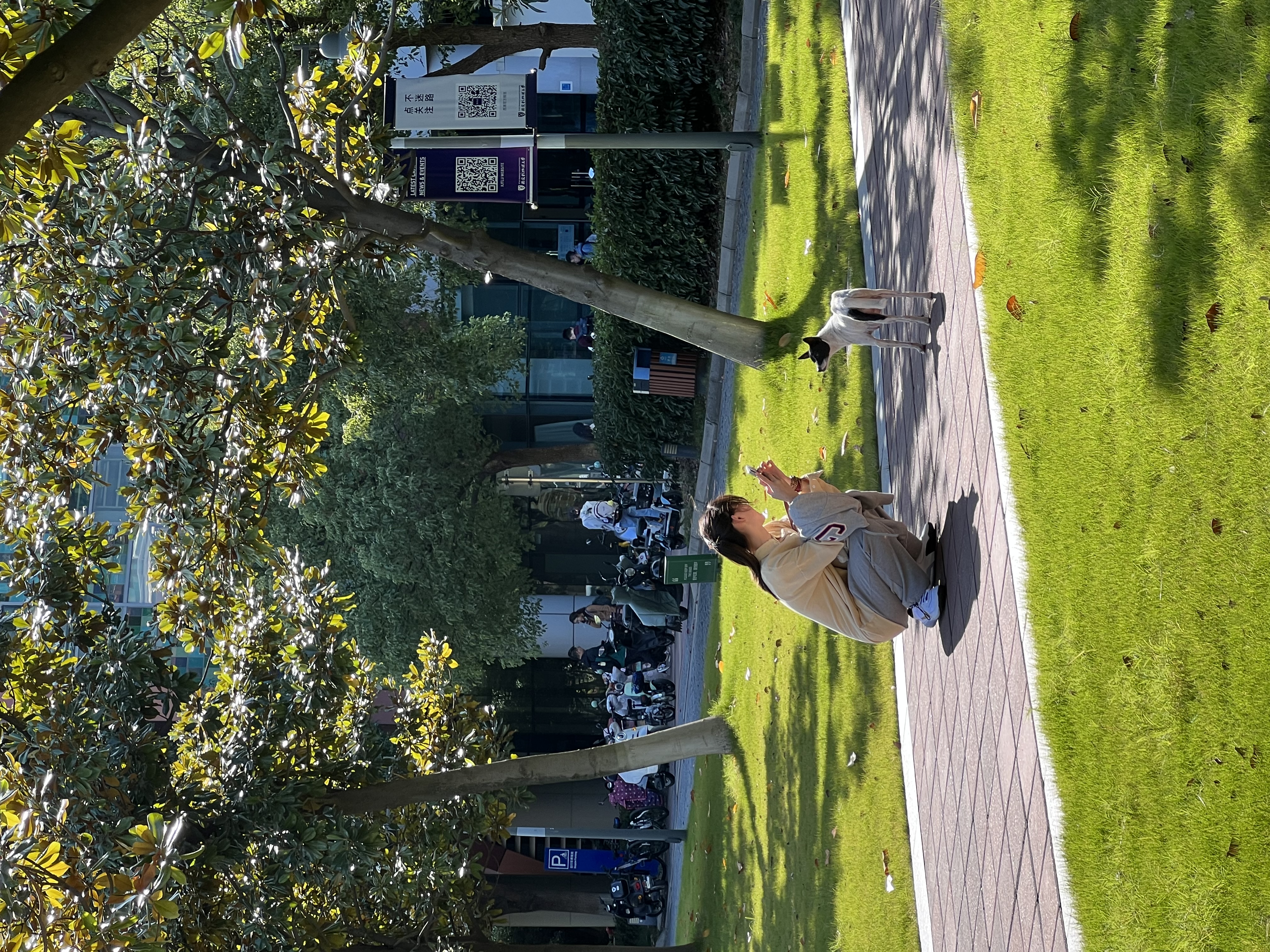 image-13