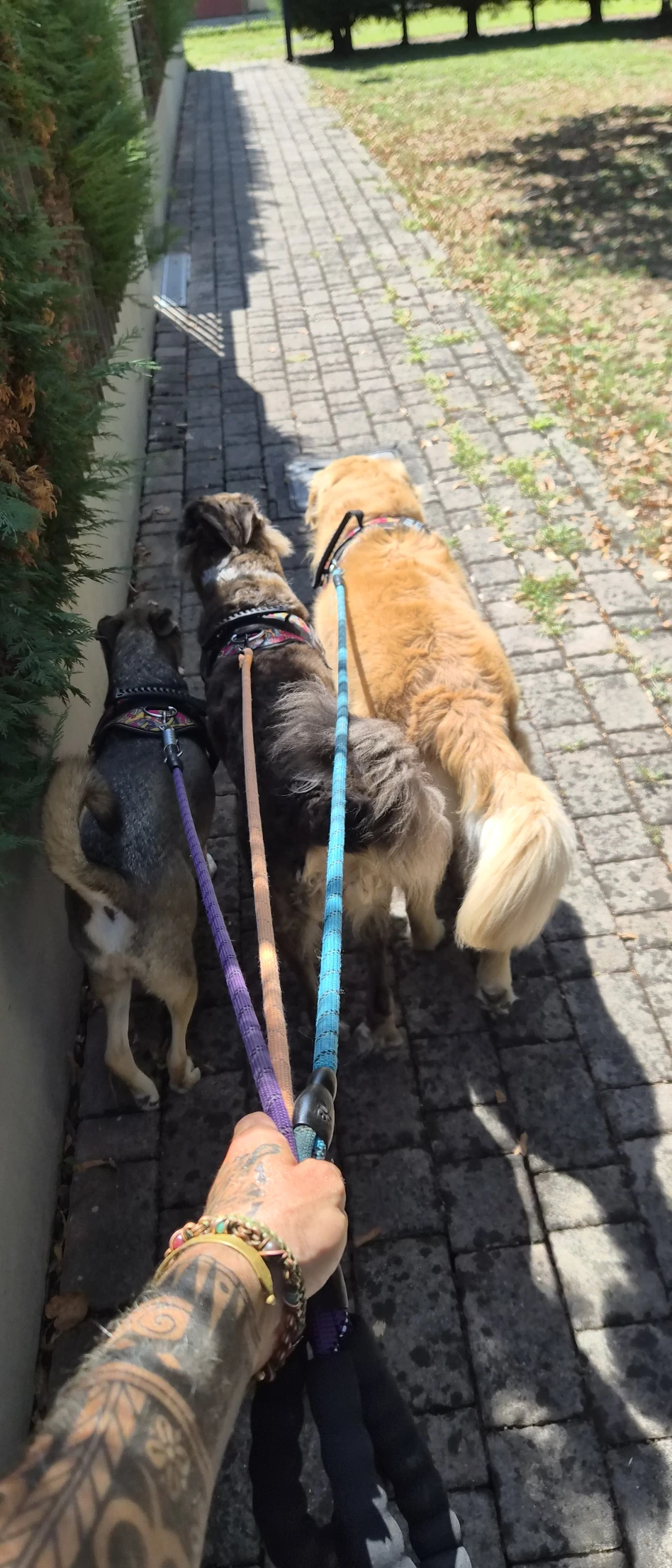 image-18