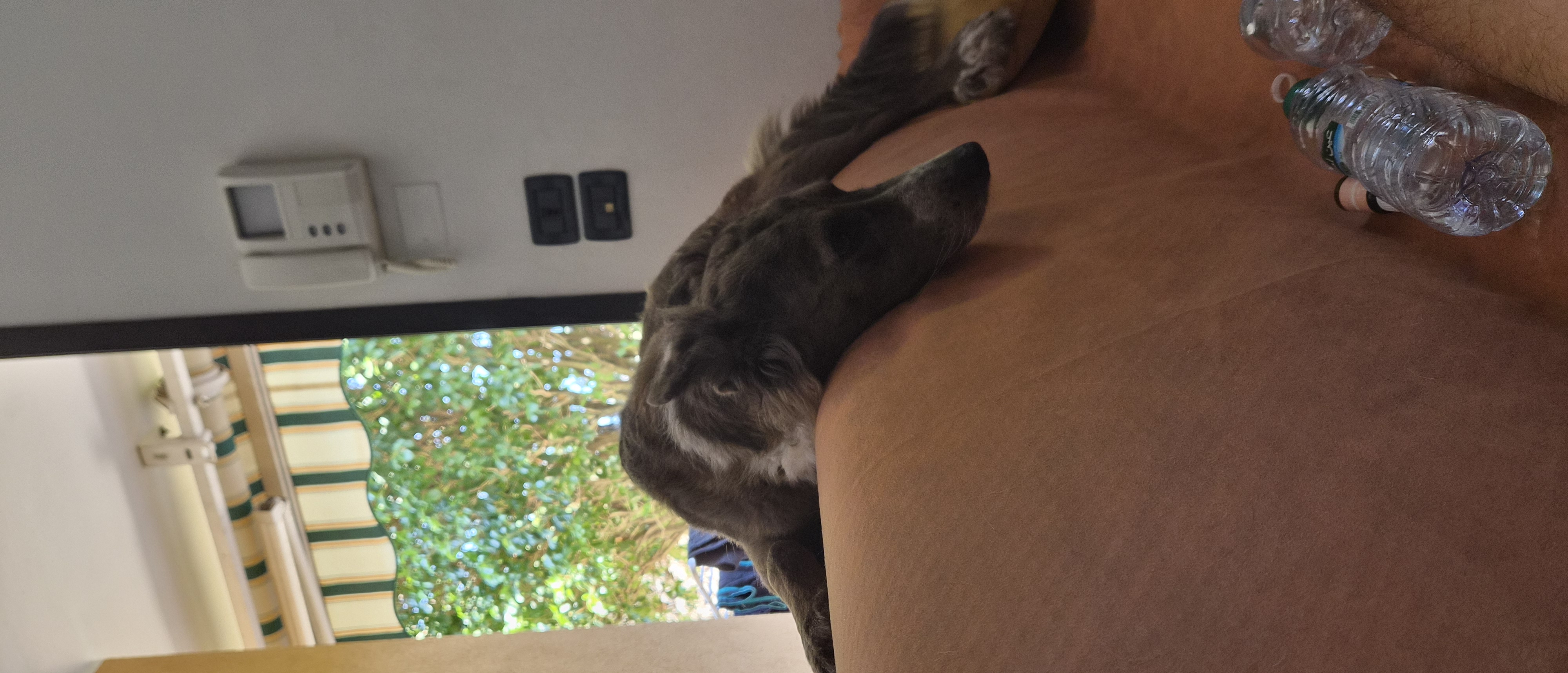 image-7