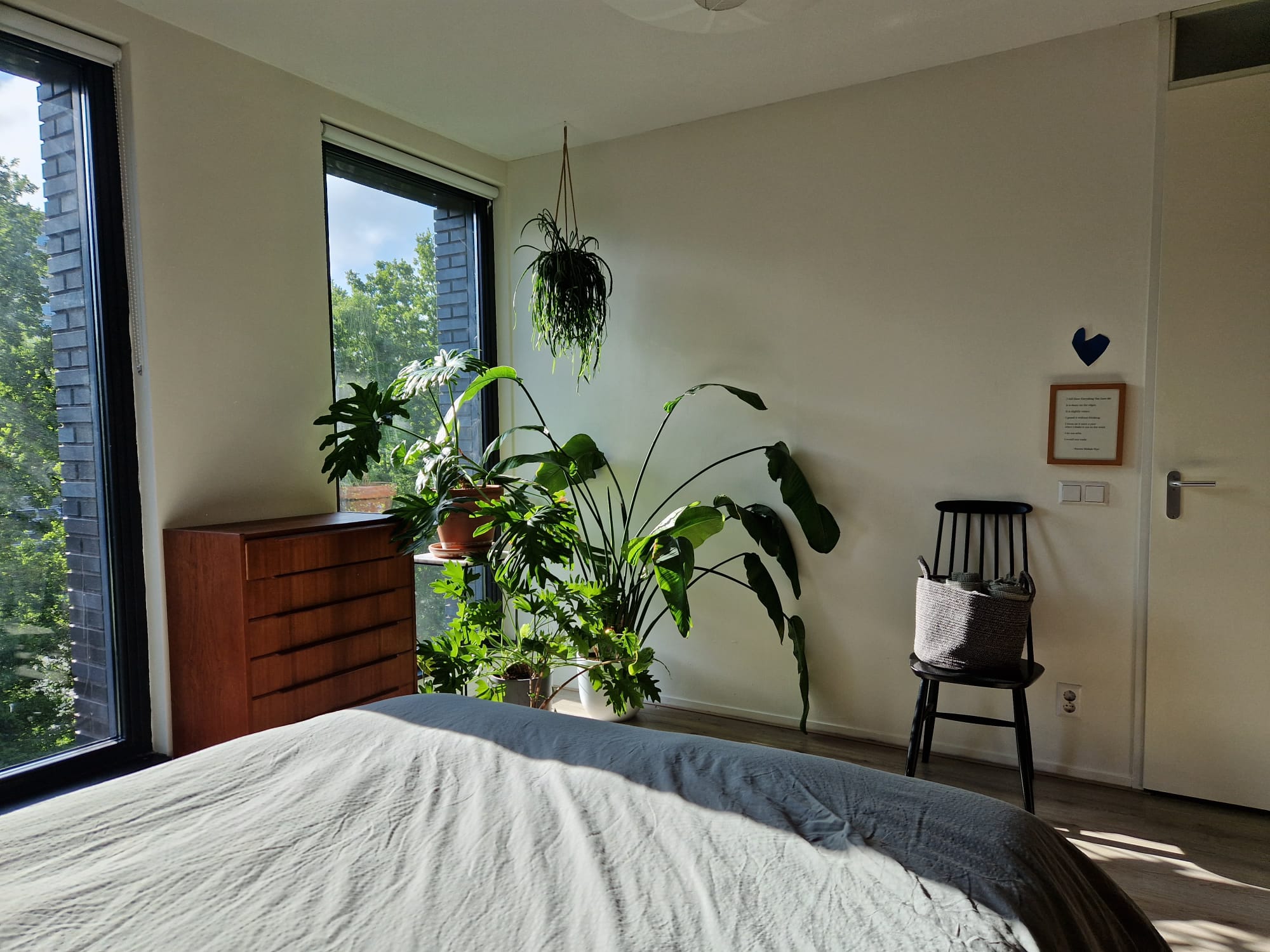 image-15