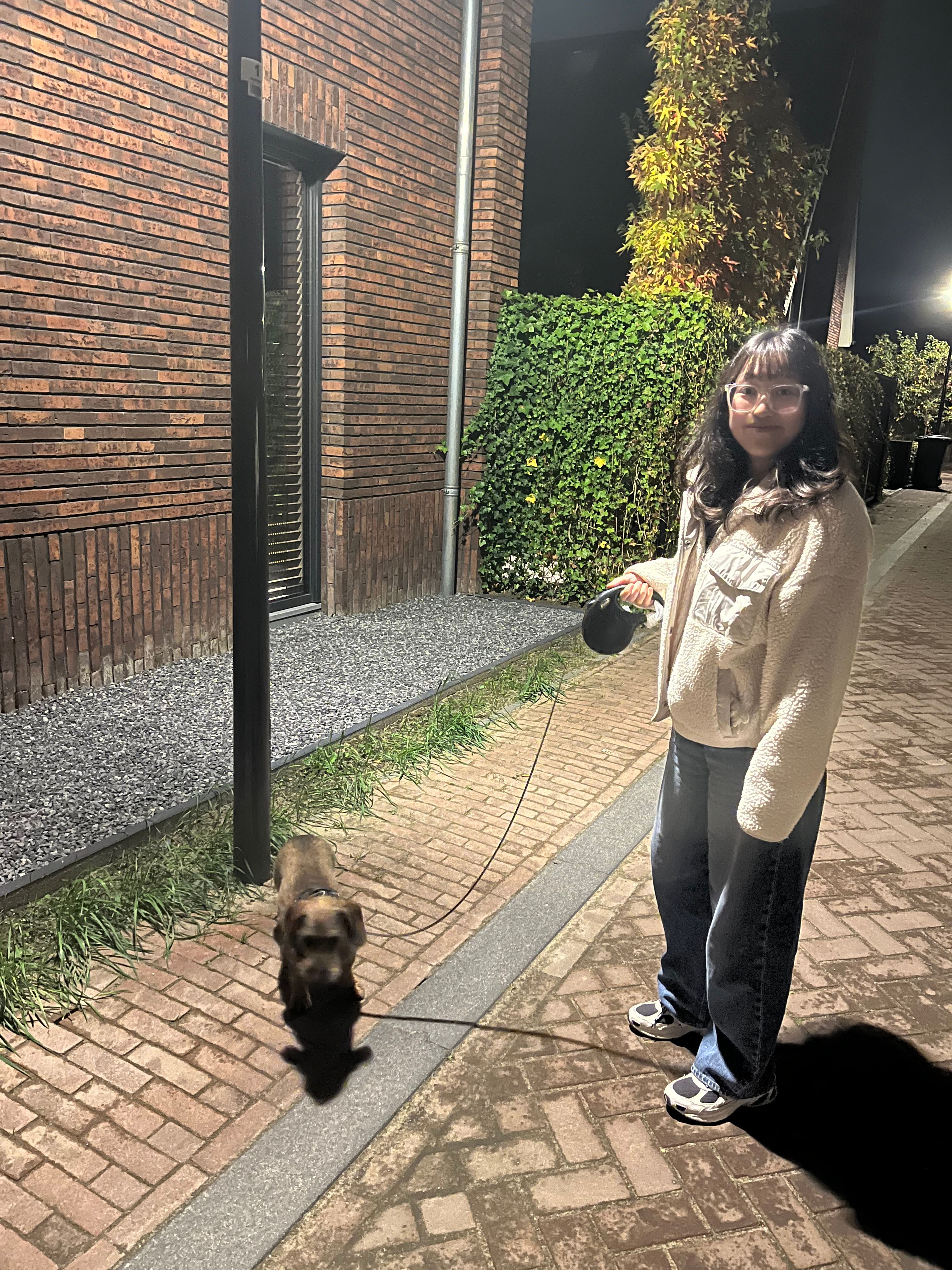 image-4