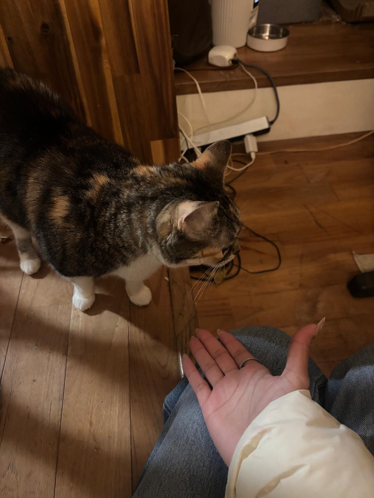 image-6