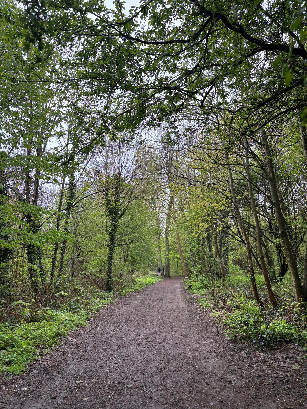 image-15