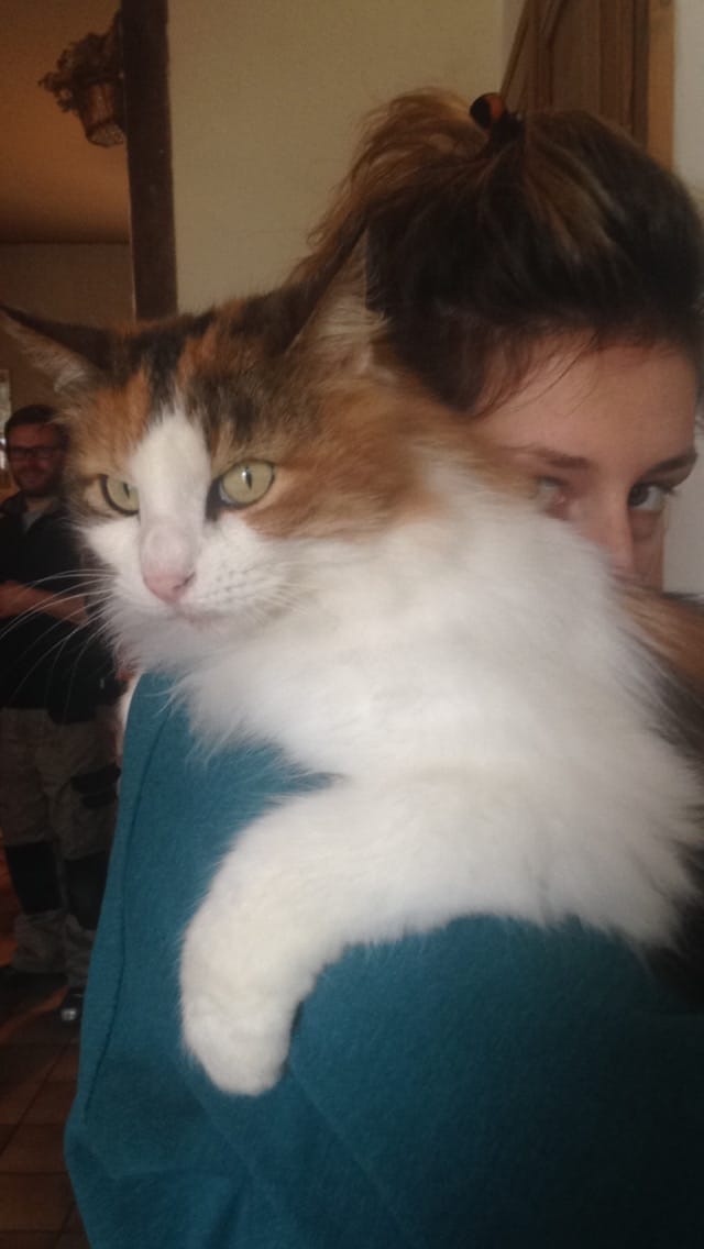 image-6