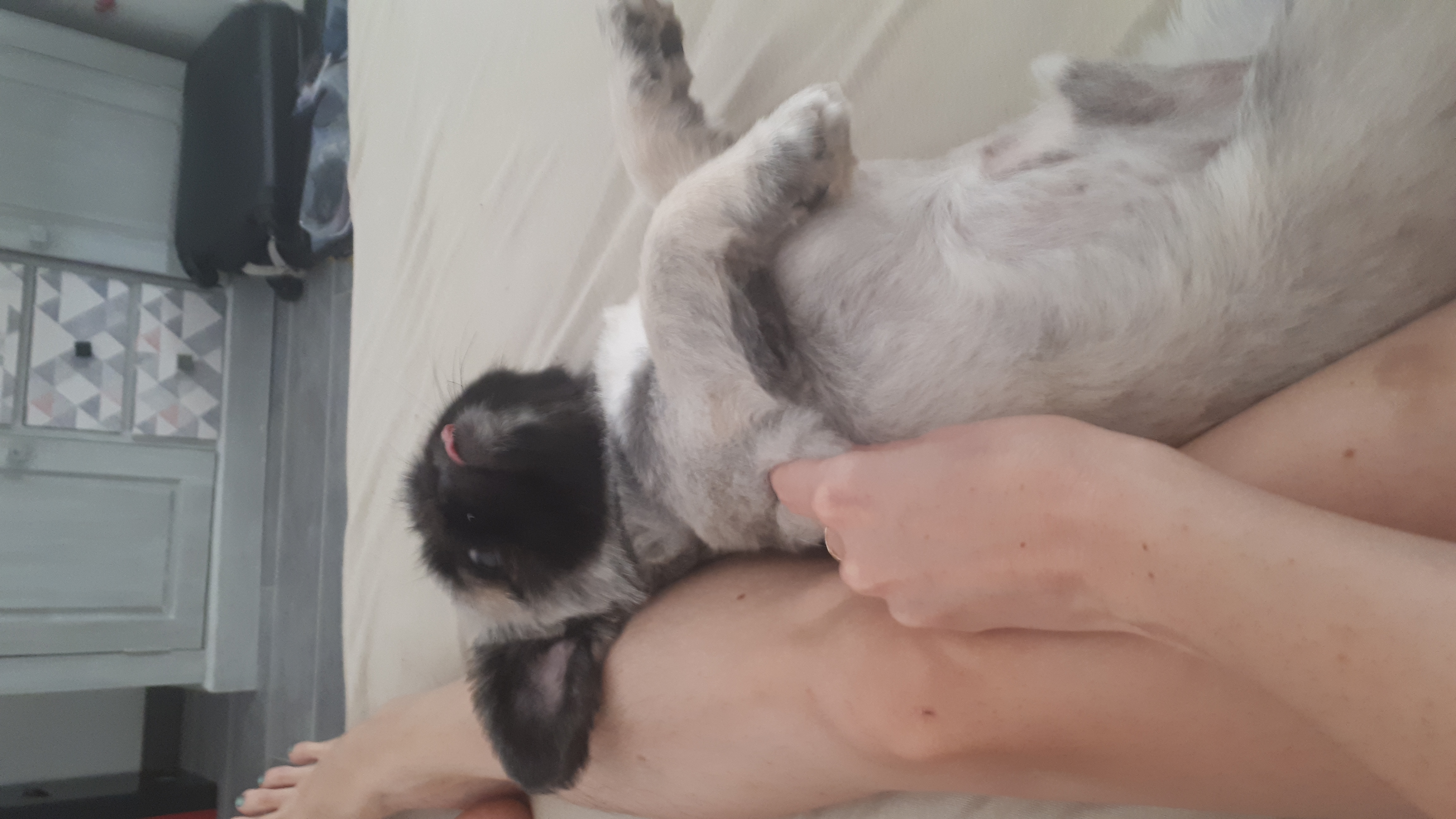 image-7