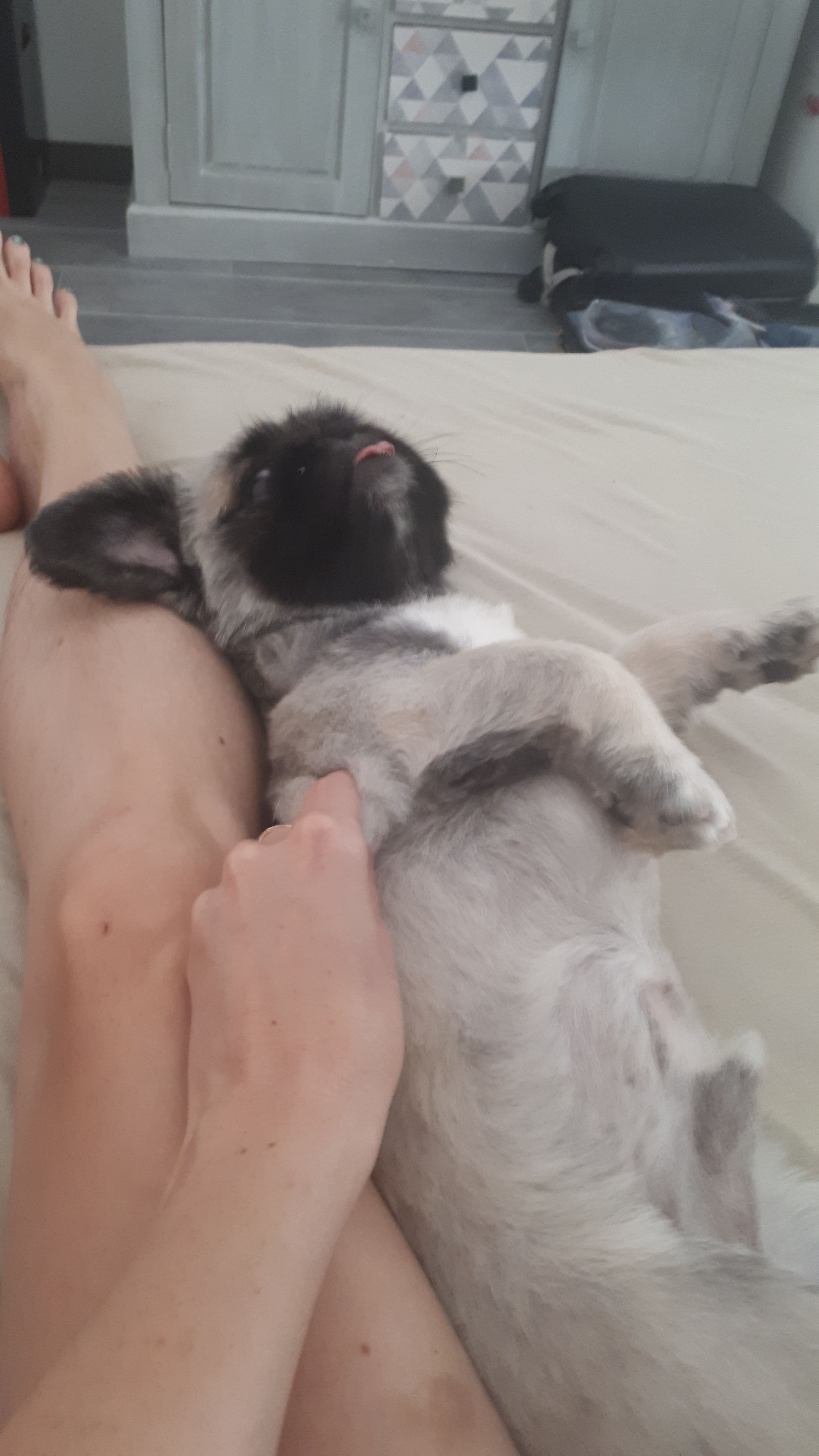image-7