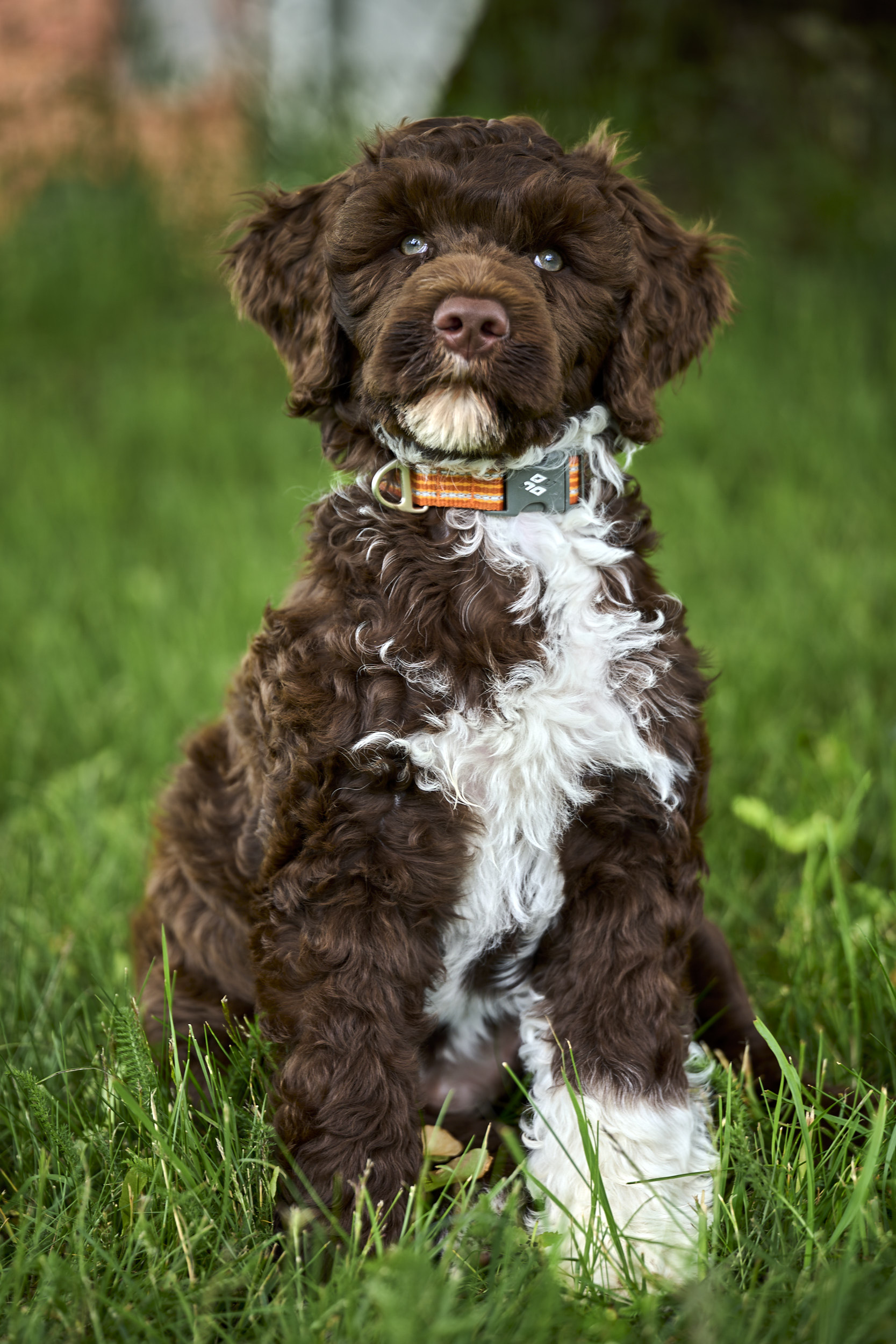 image-11