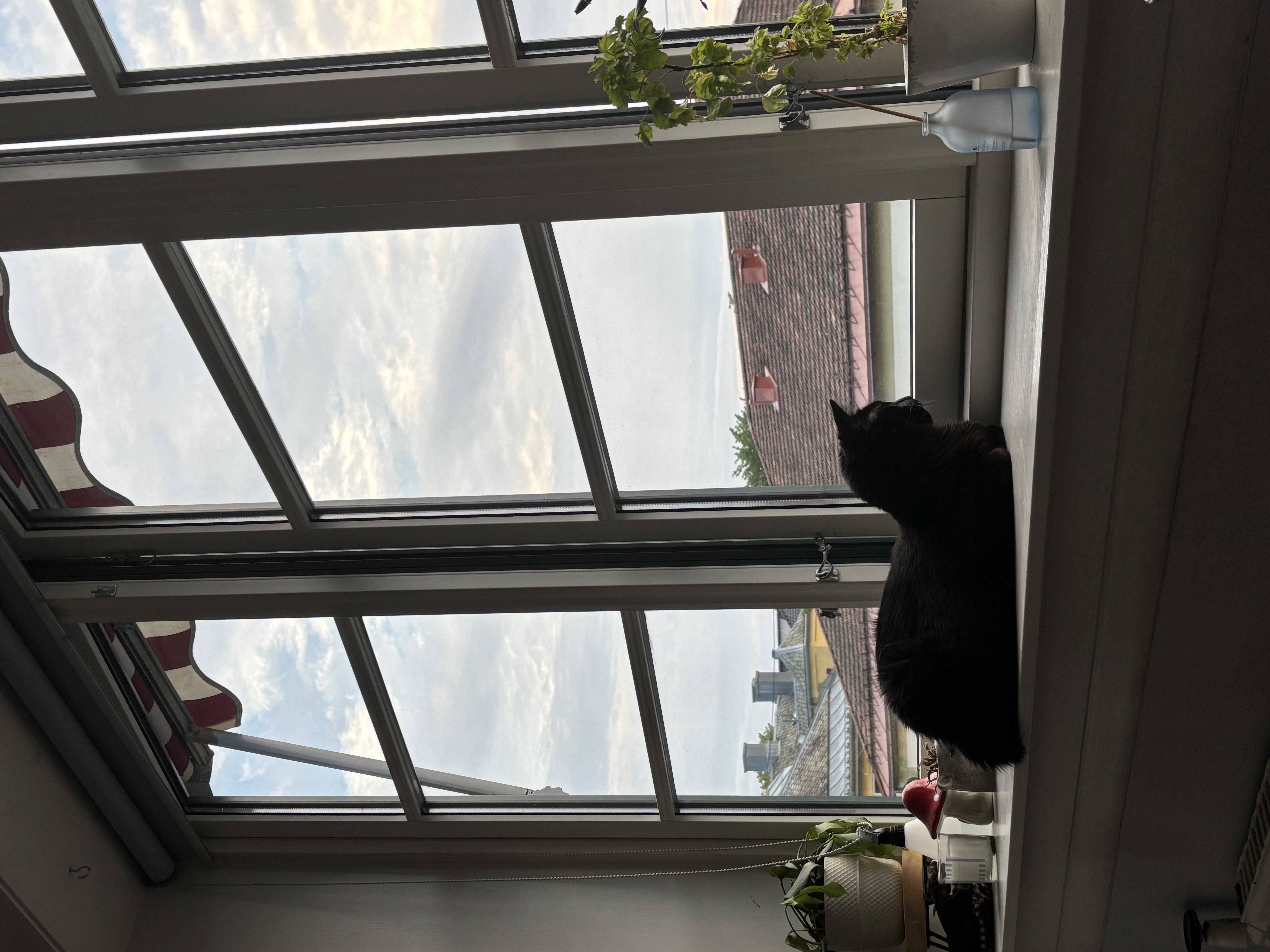 image-13
