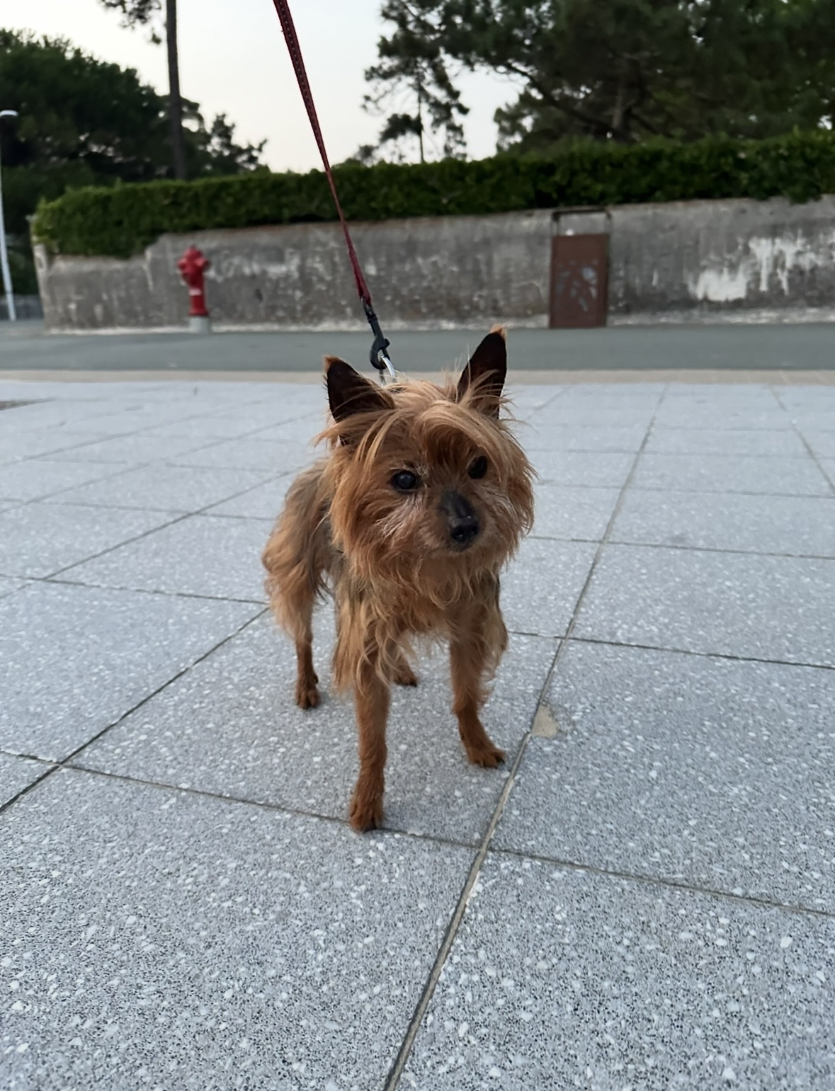 image-11