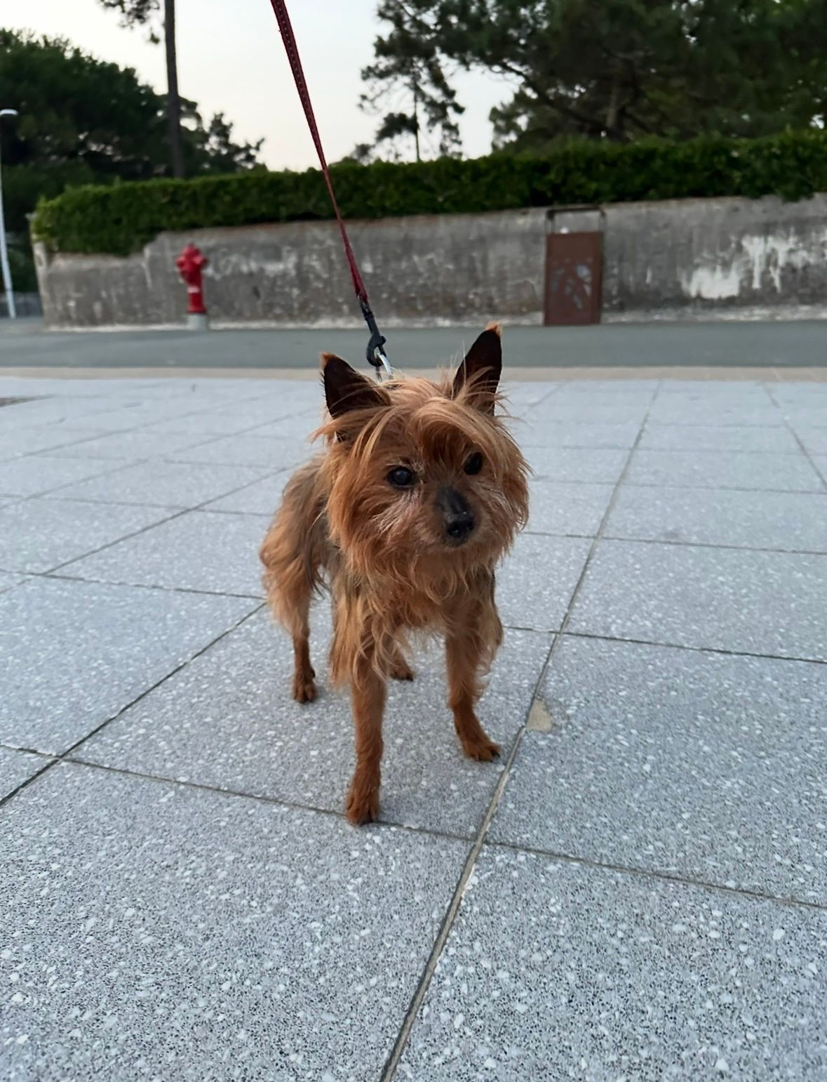 image-11