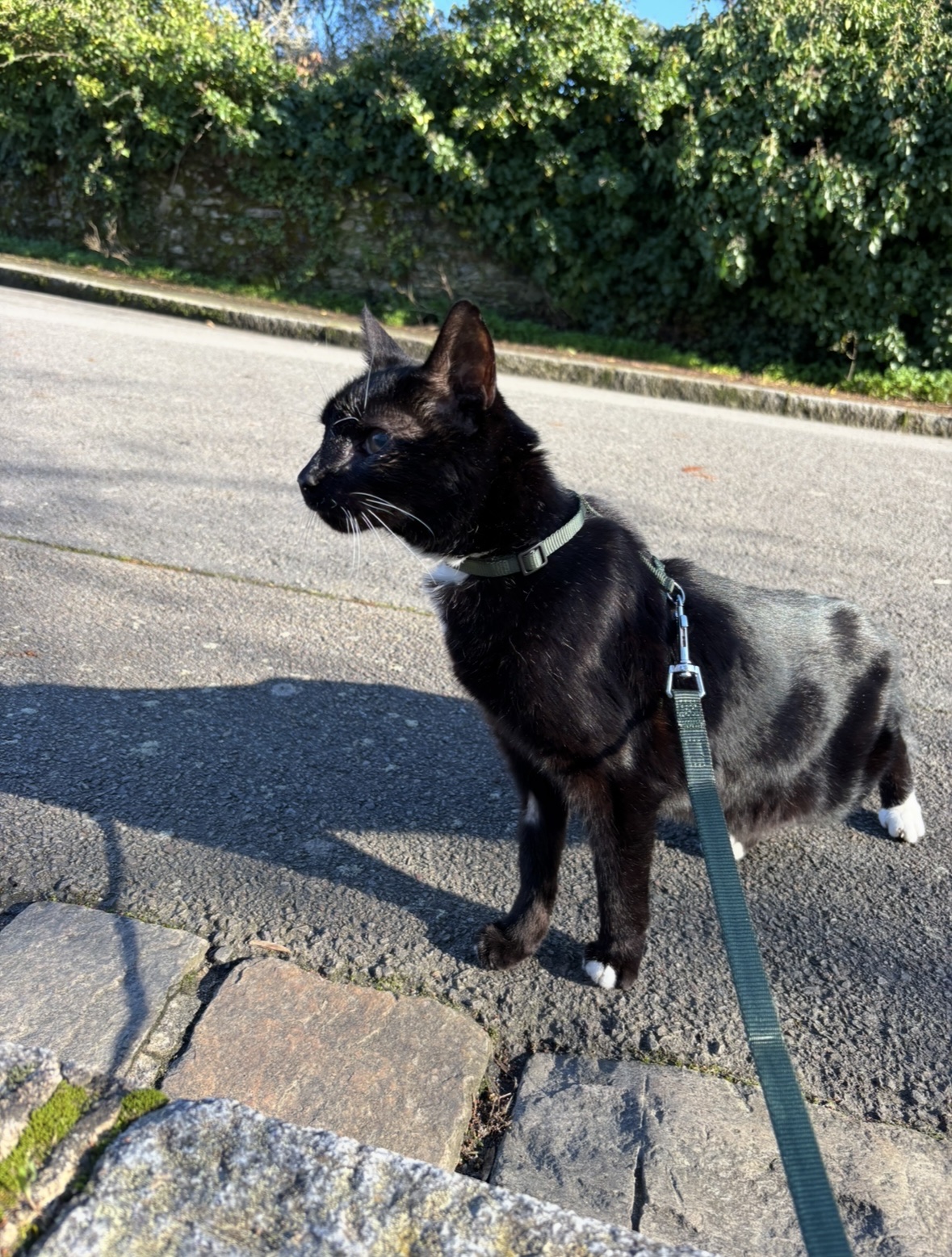 image-13