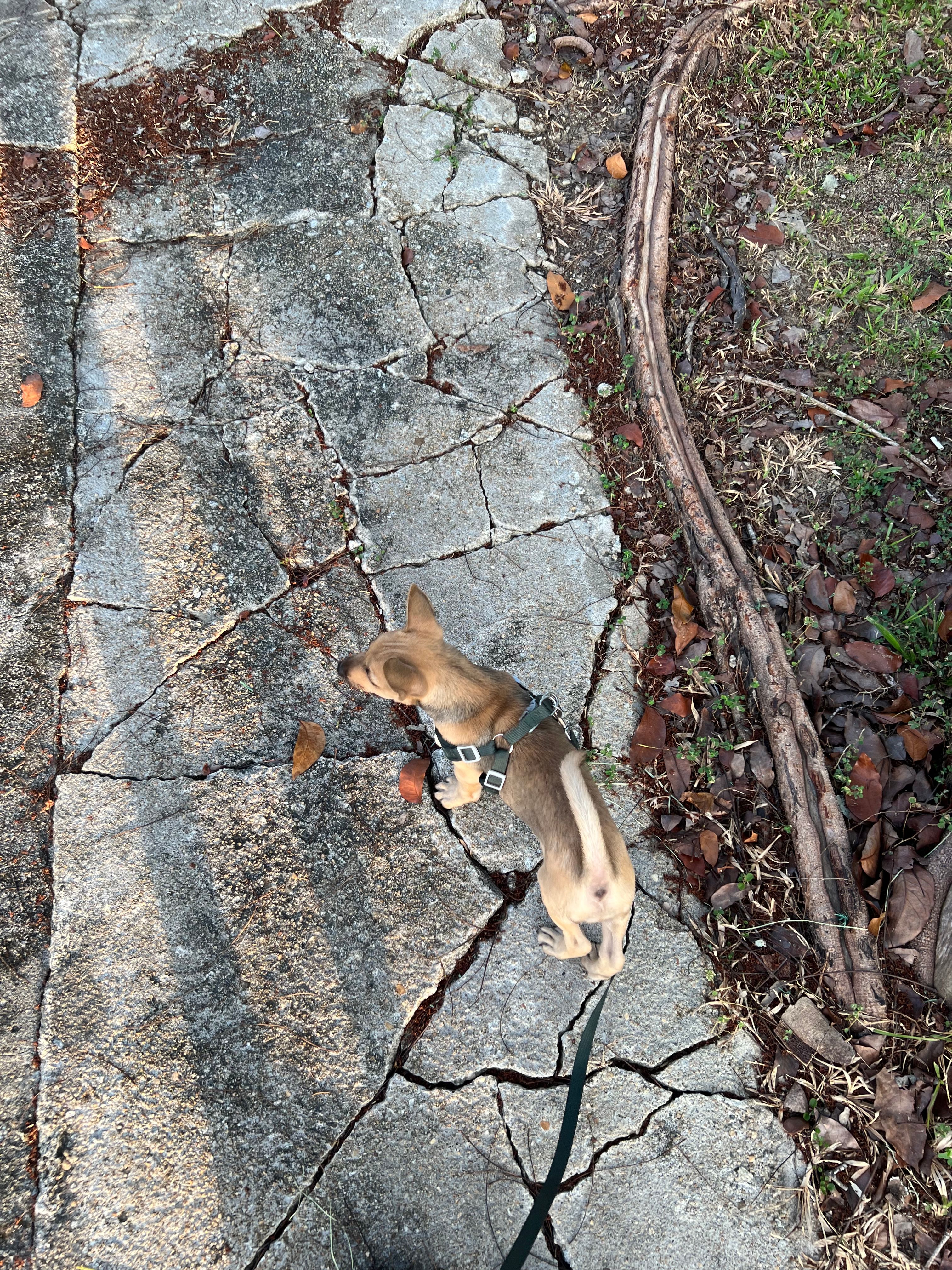 image-5