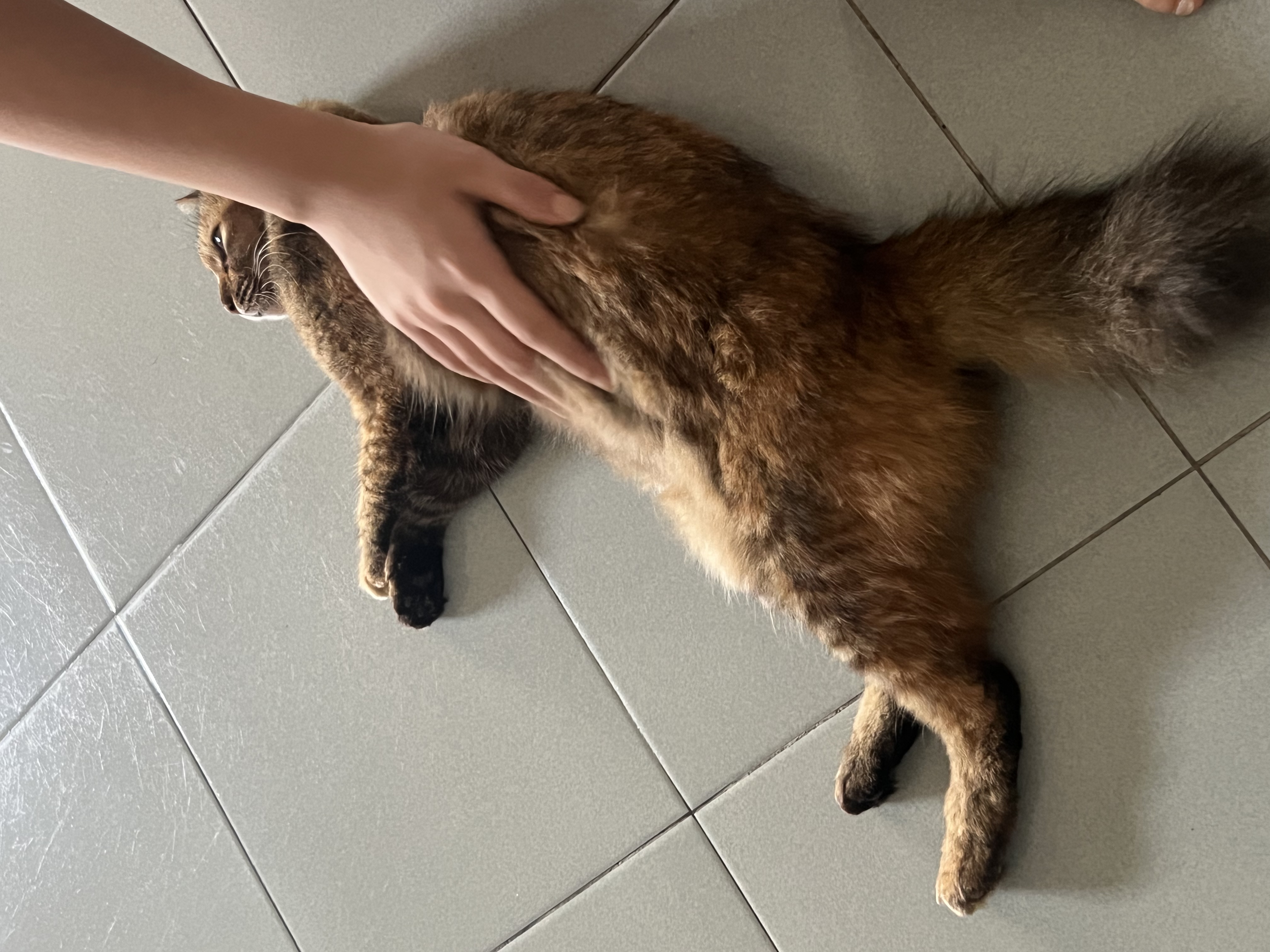 image-8