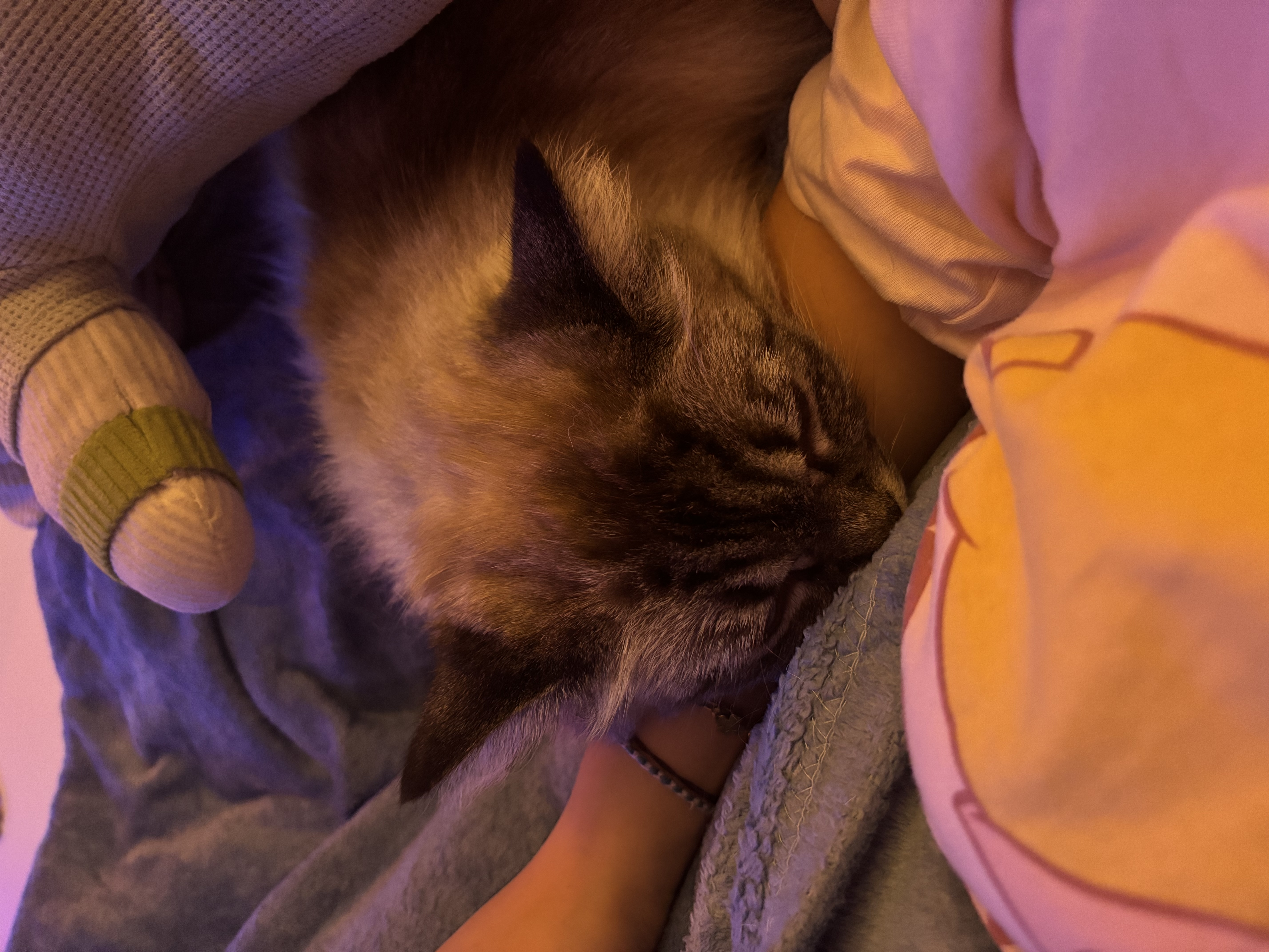image-8