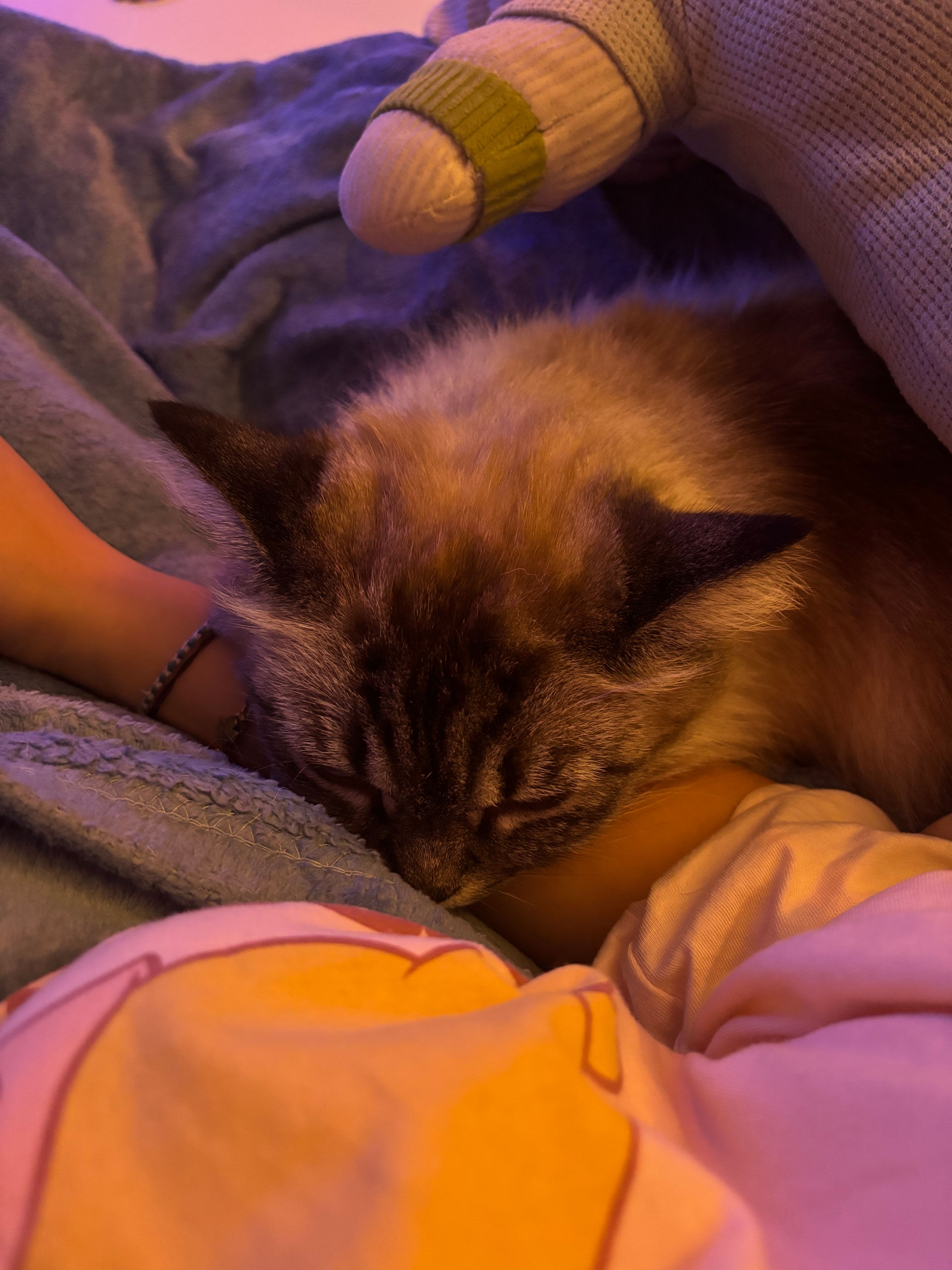 image-8