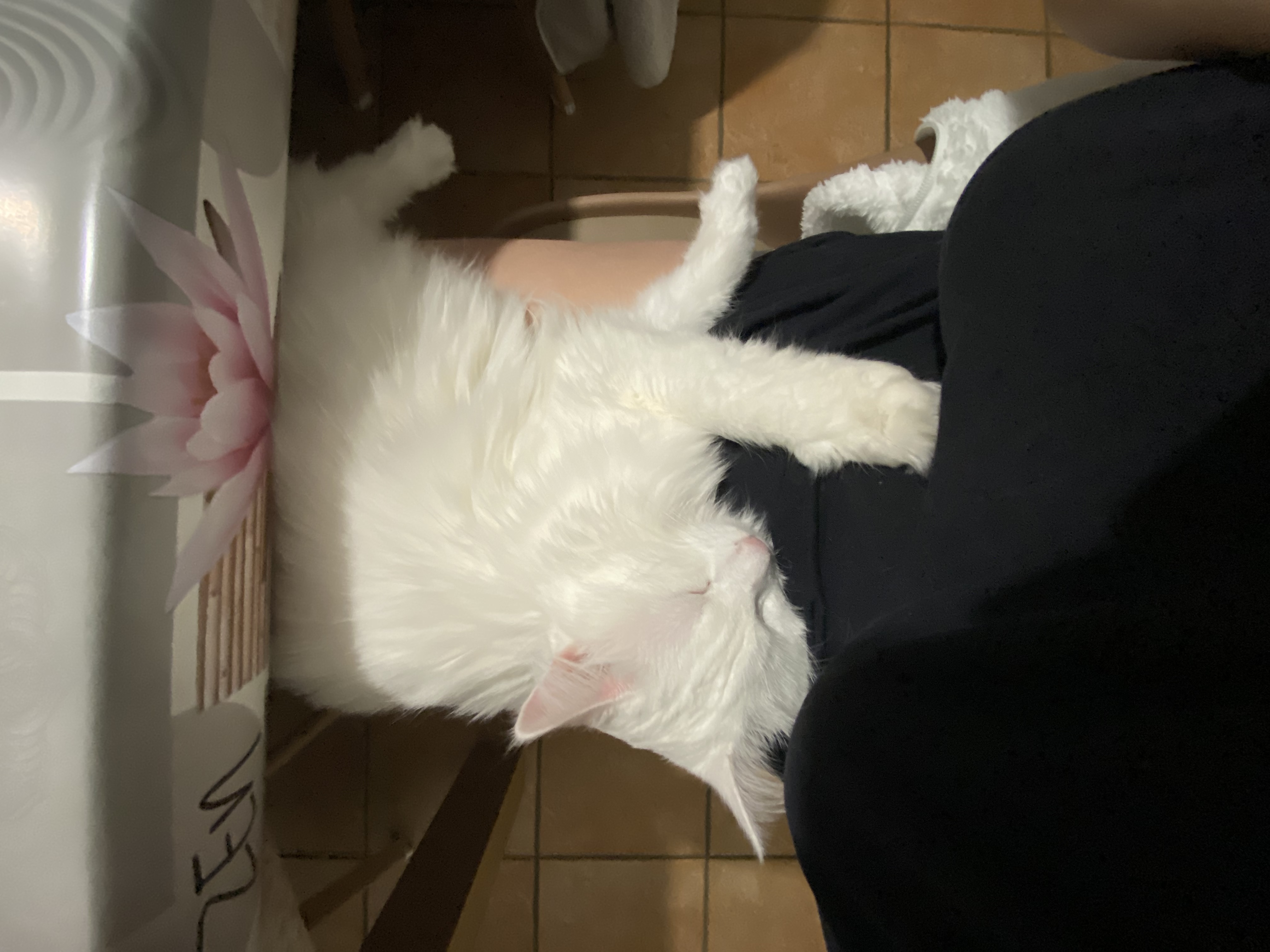 image-7