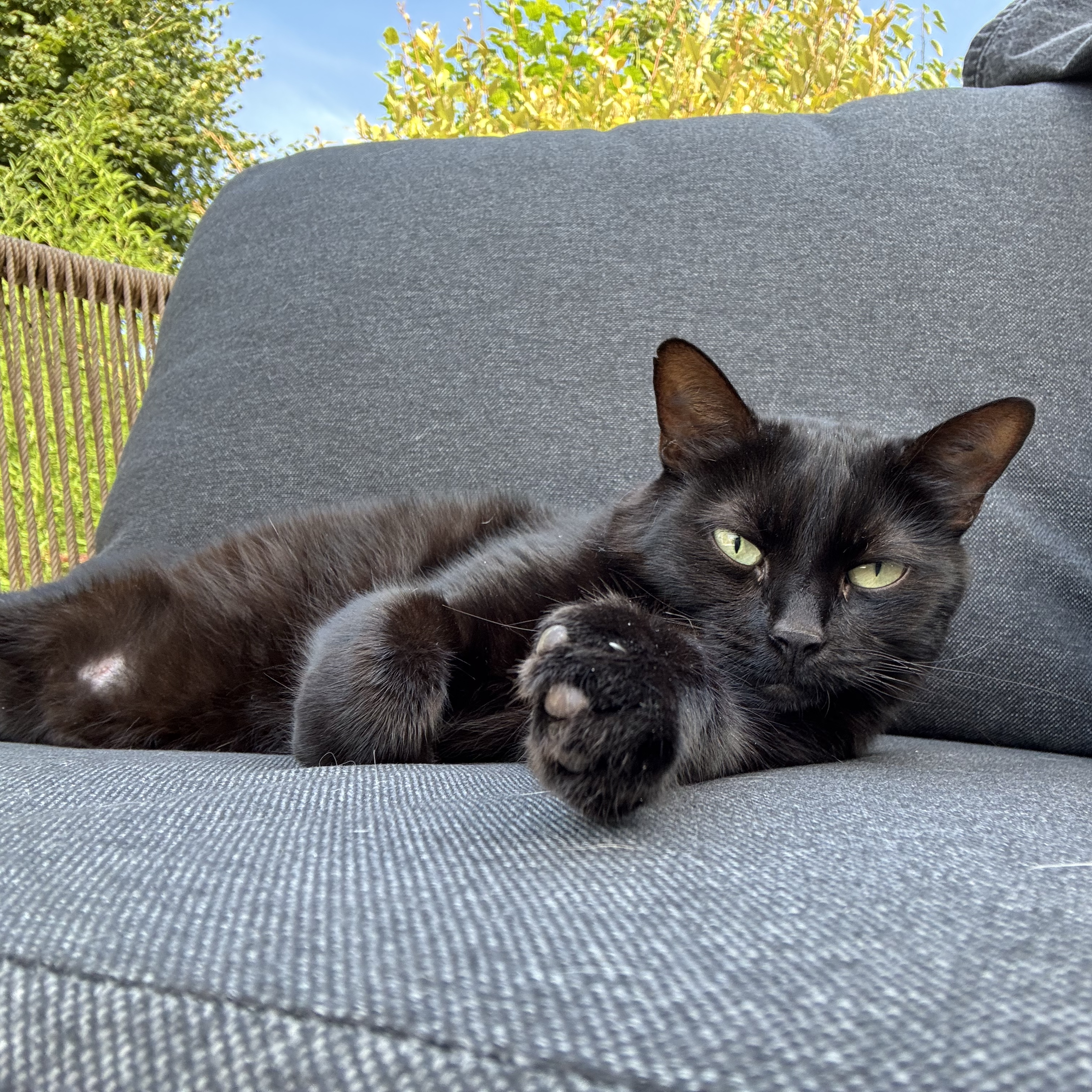 Pépite 