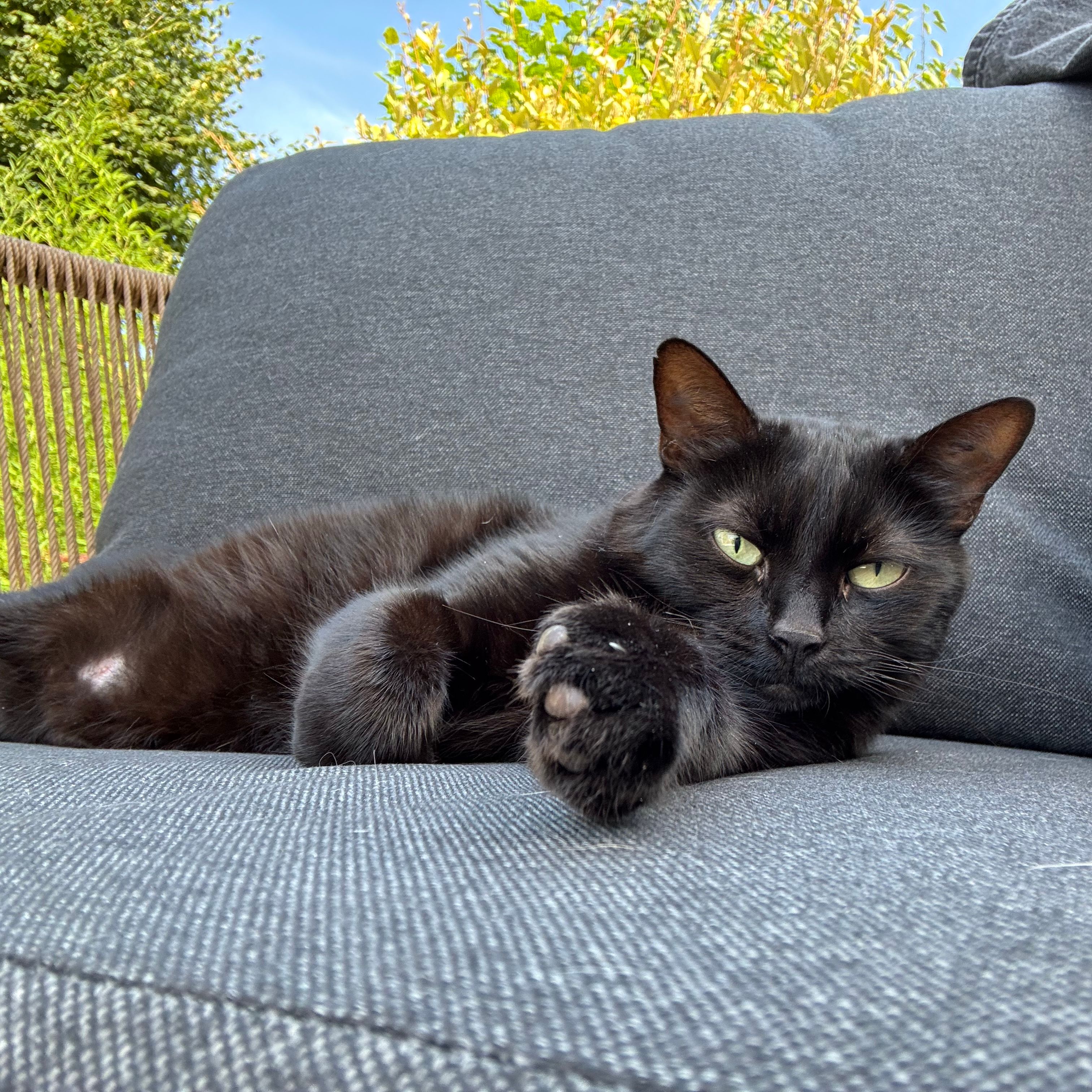 Pépite