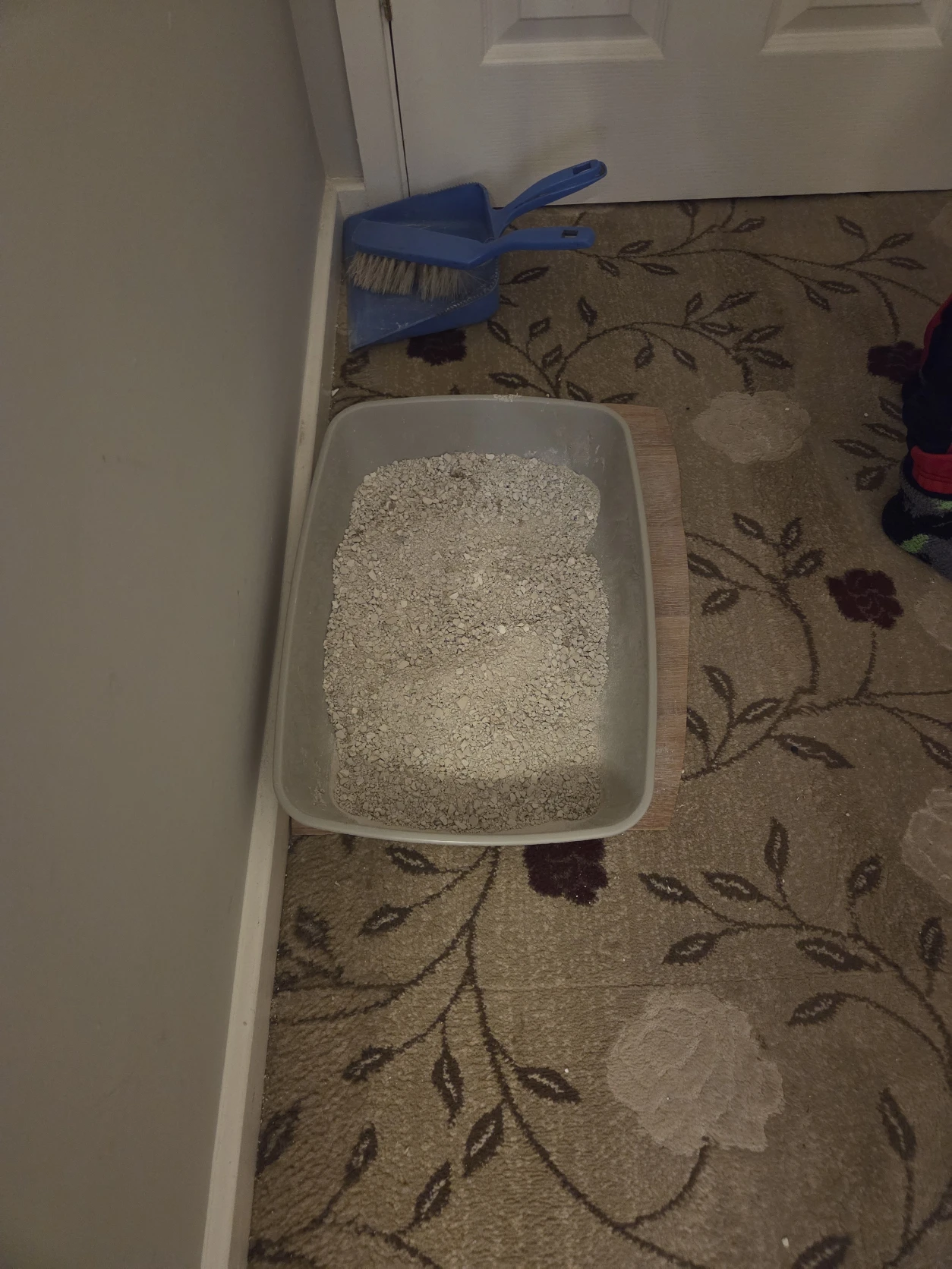 image-8