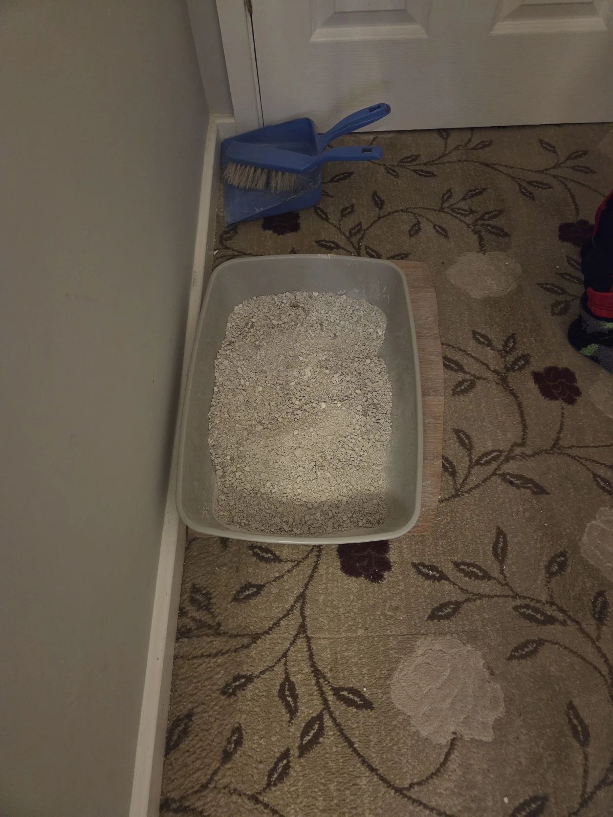 image-8